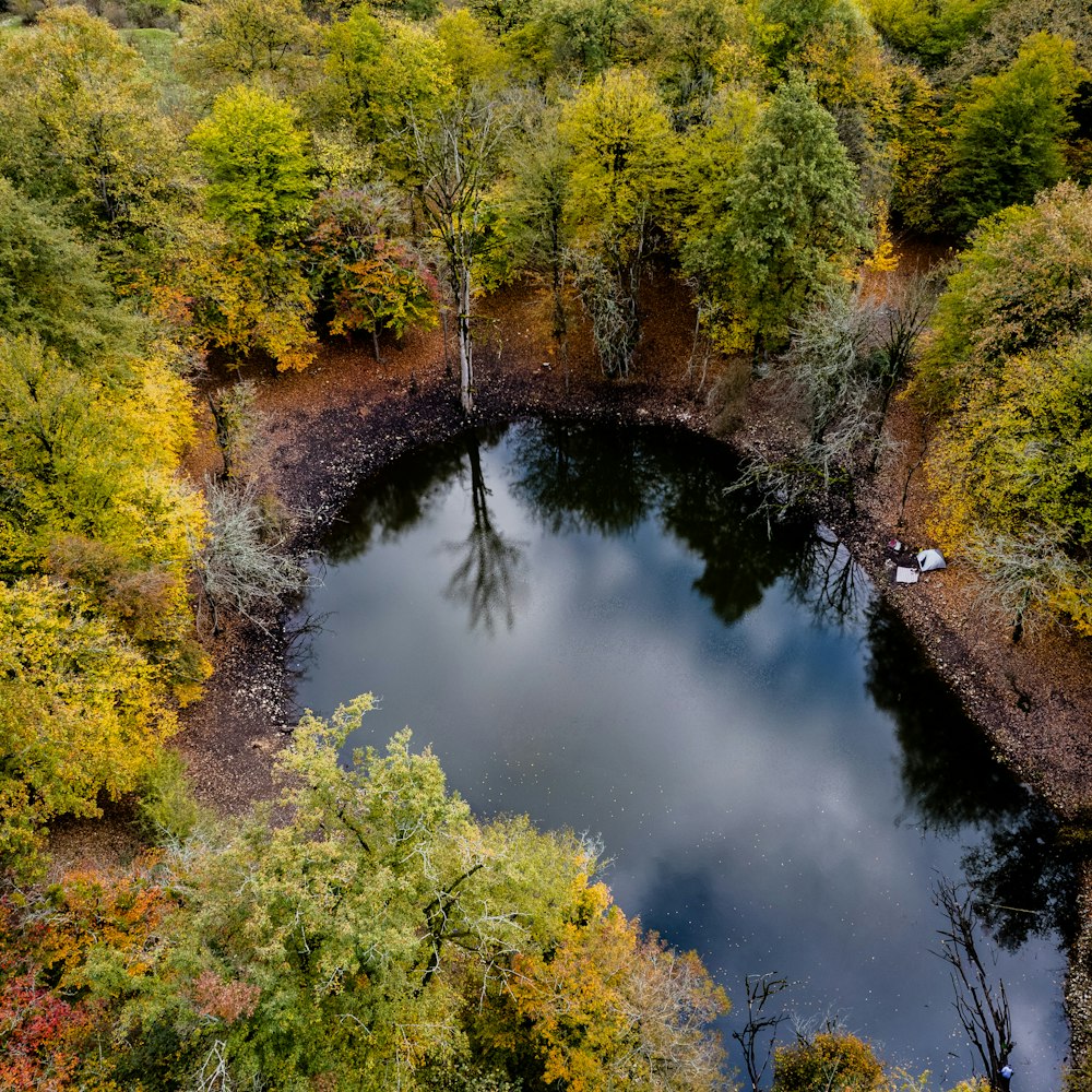 an aerial view of a pond surrounded by trees