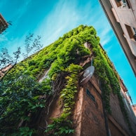 The exterior of a Parisian building with subtle signage for the beautymanager atelier, framed by delicate greenery.