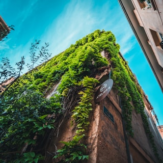 The exterior of a Parisian building with subtle signage for the beautymanager atelier, framed by delicate greenery.