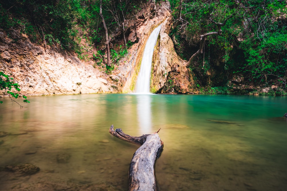 a large waterfall in the middle of a forest