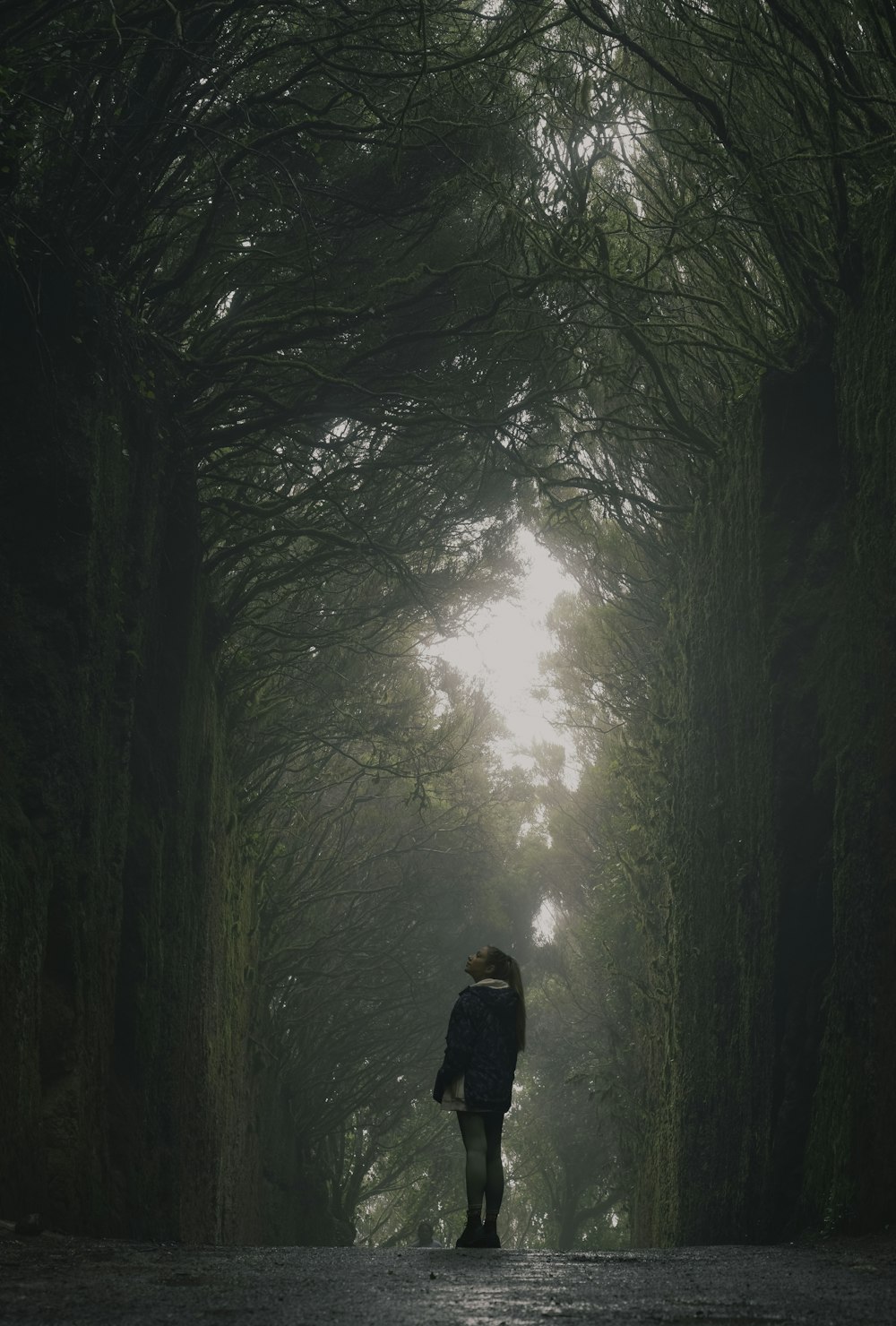 a person standing in the middle of a forest