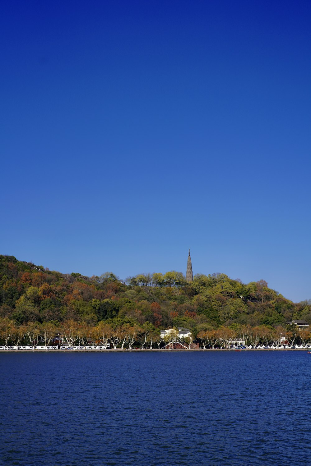 a large body of water with trees on a hill in the background