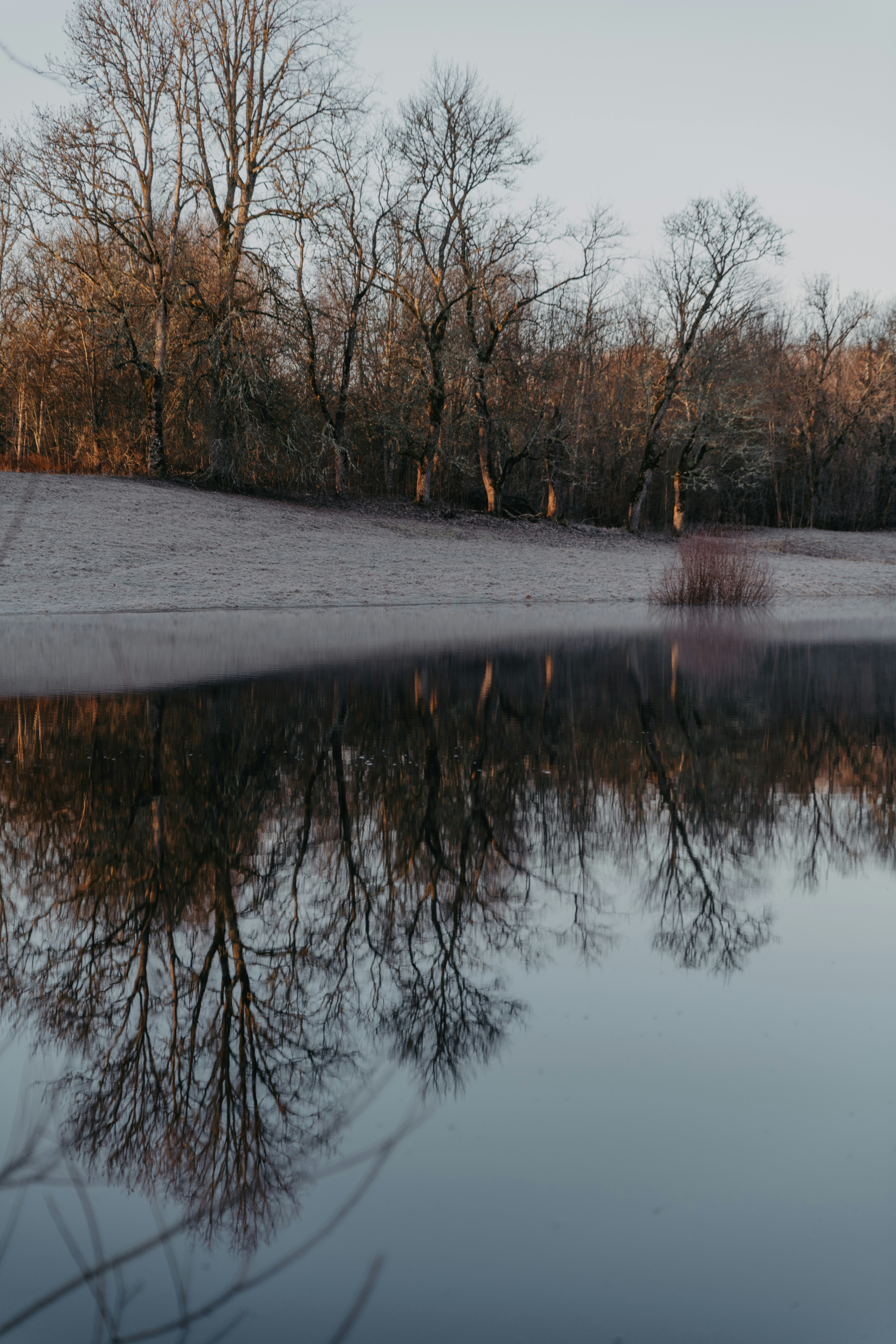 Photo by anitaaustvika