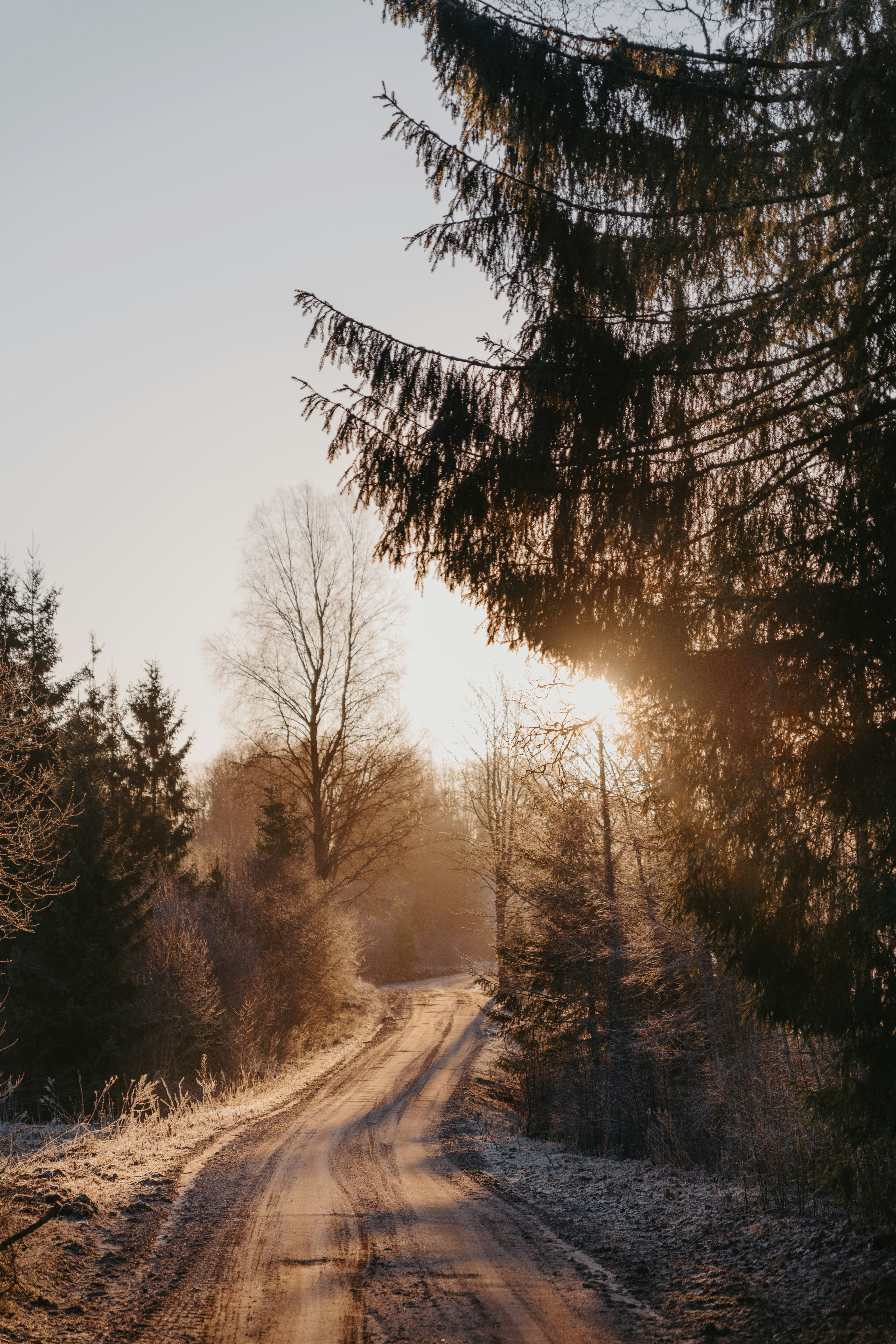 Photo by anitaaustvika