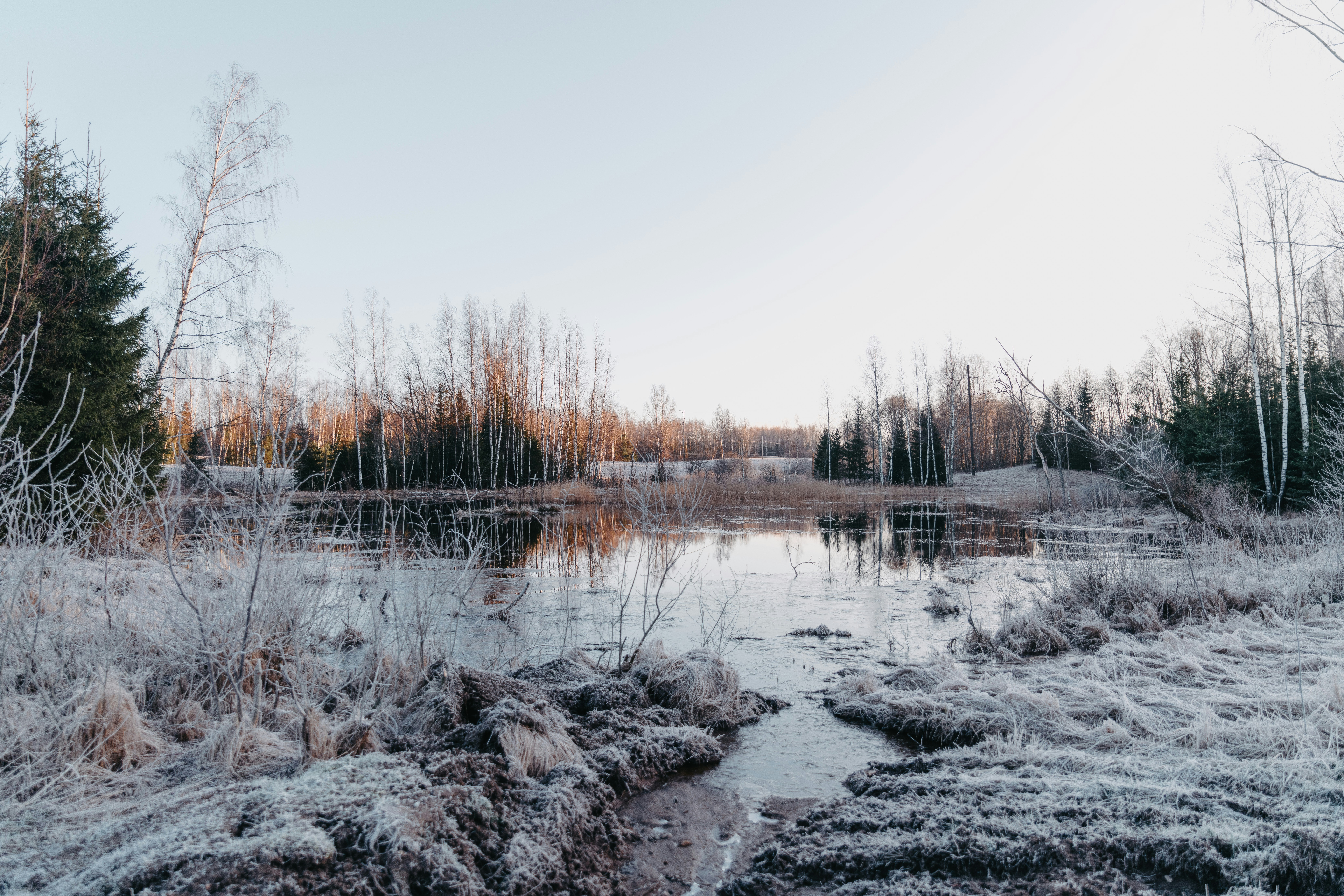 Photo by anitaaustvika