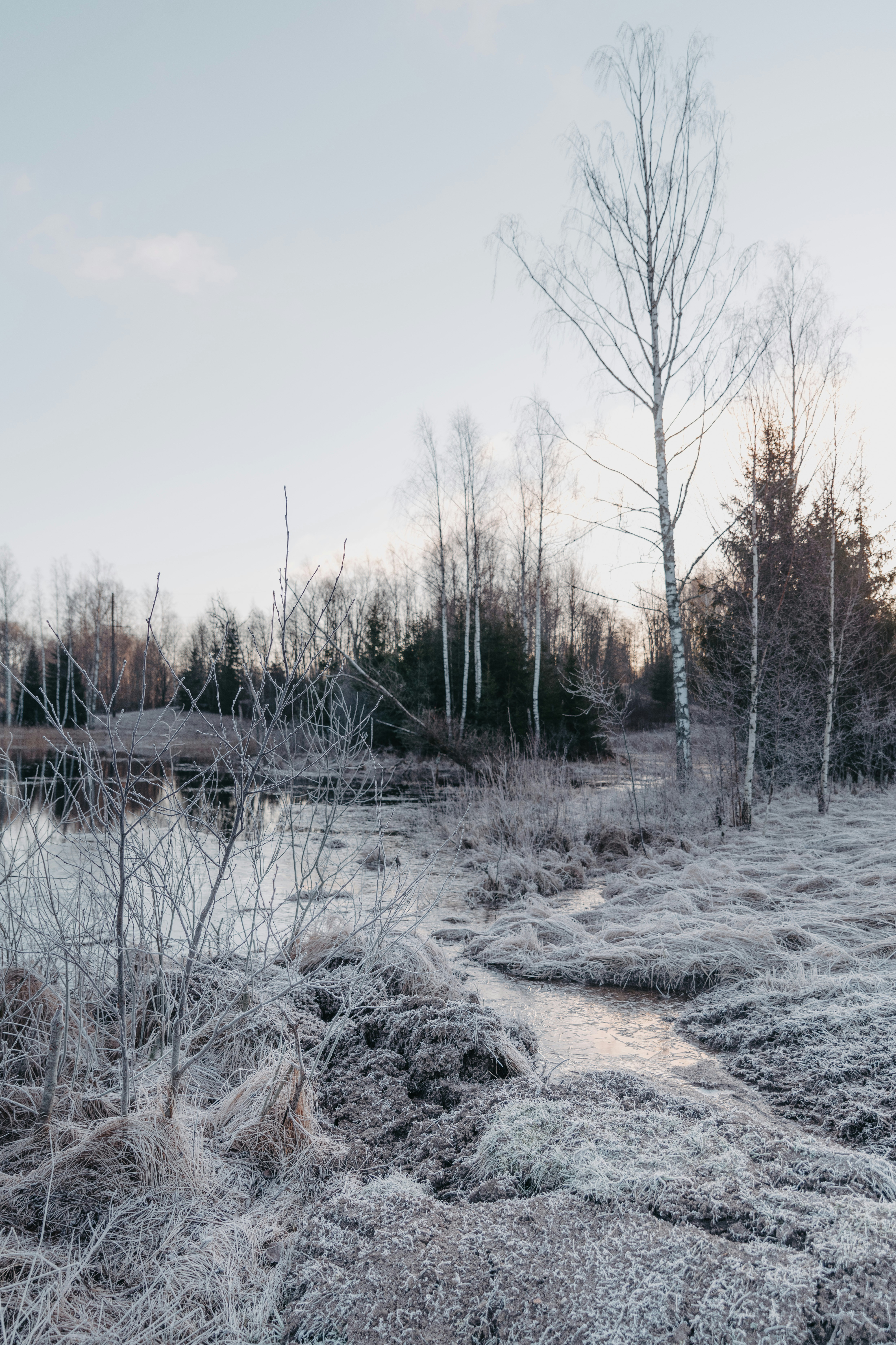 Photo by anitaaustvika