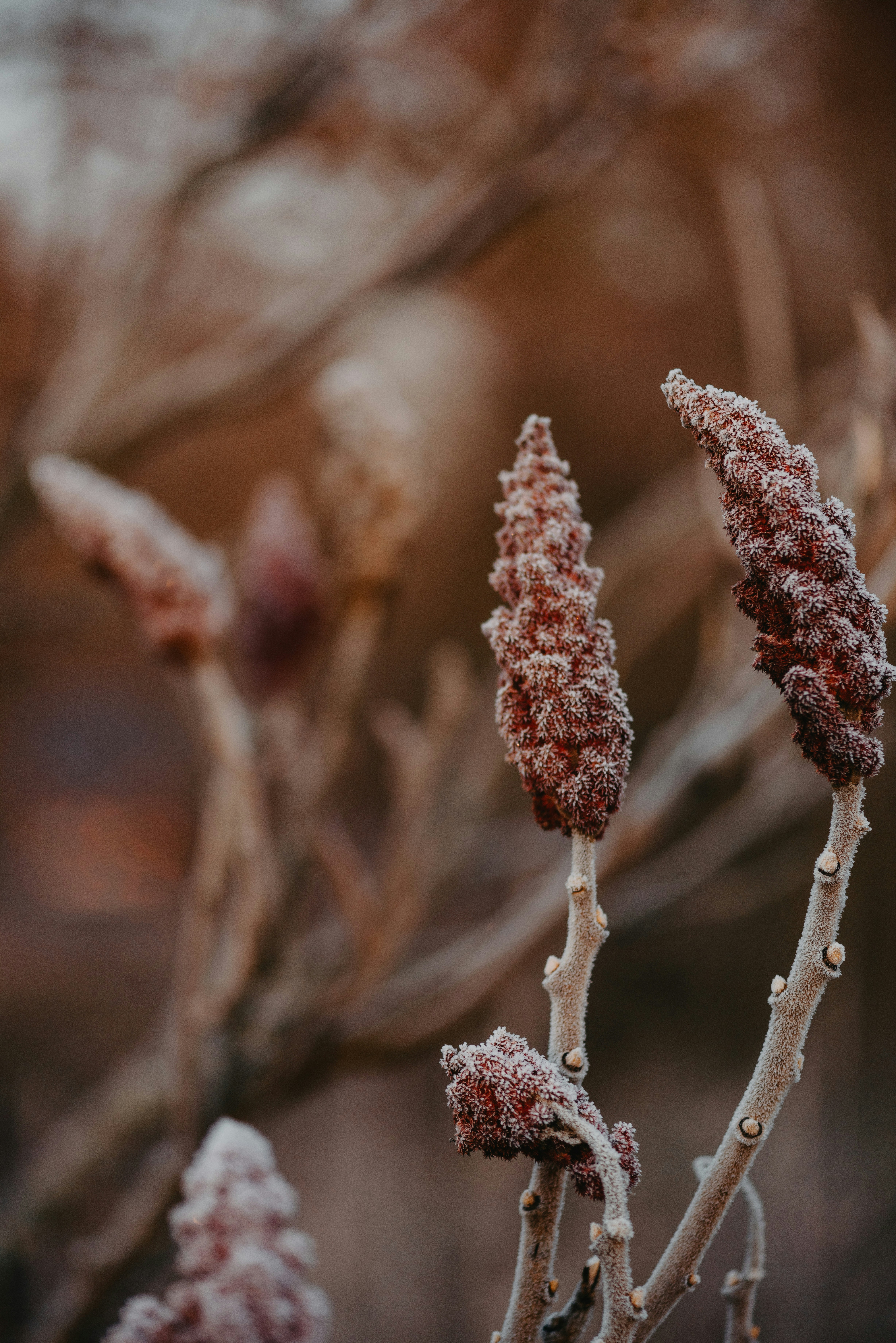 Photo by anitaaustvika