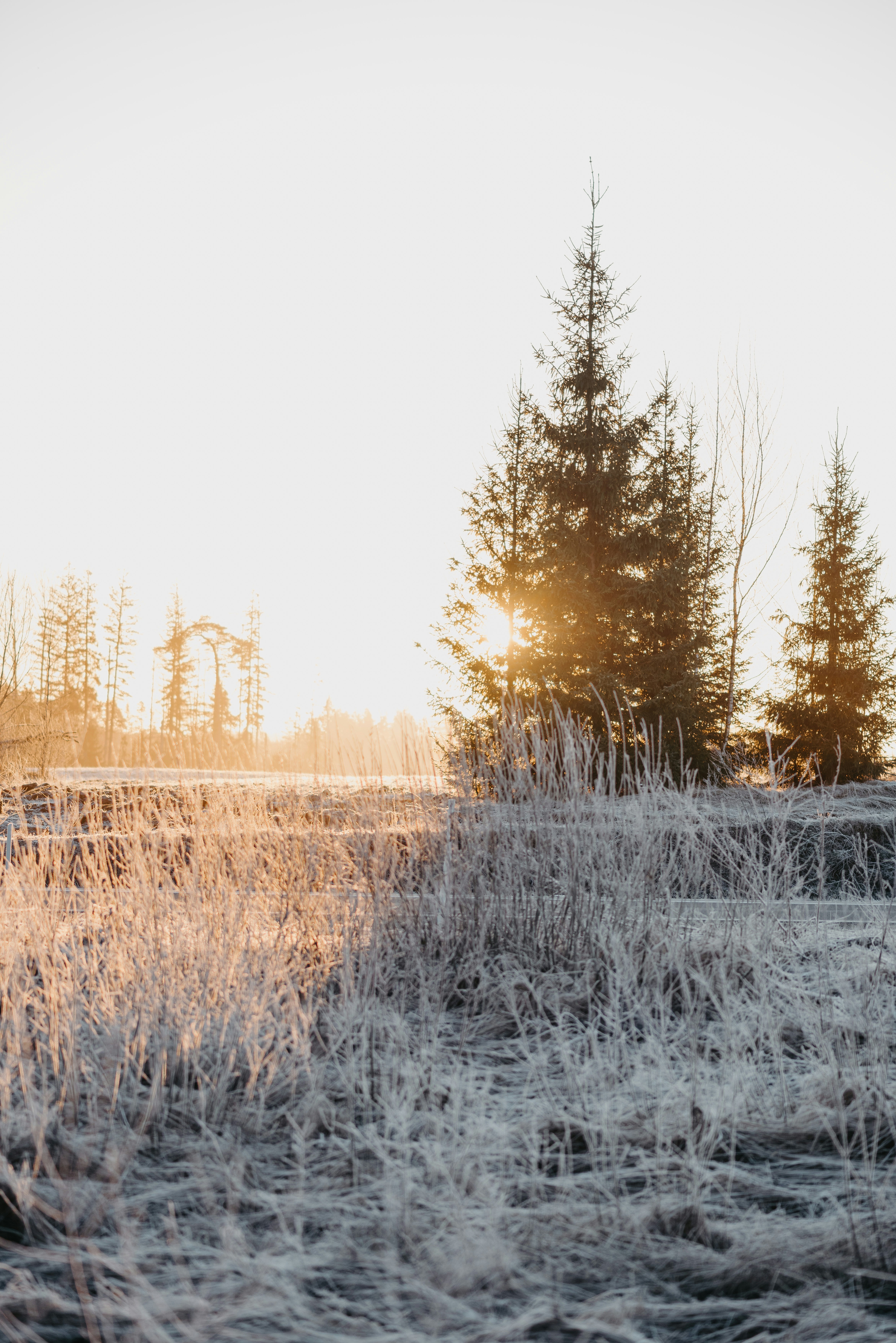 Photo by anitaaustvika