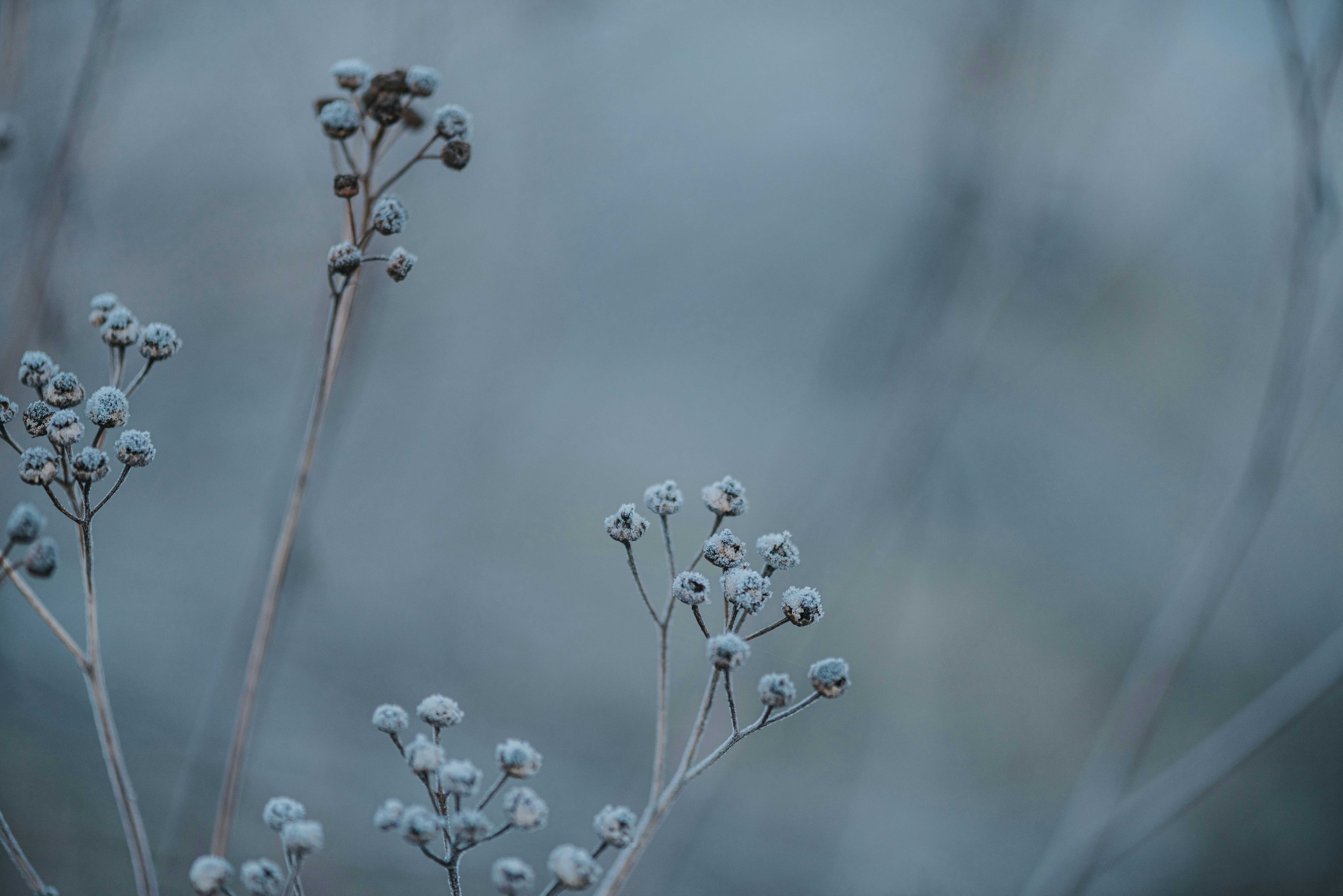 Photo by anitaaustvika