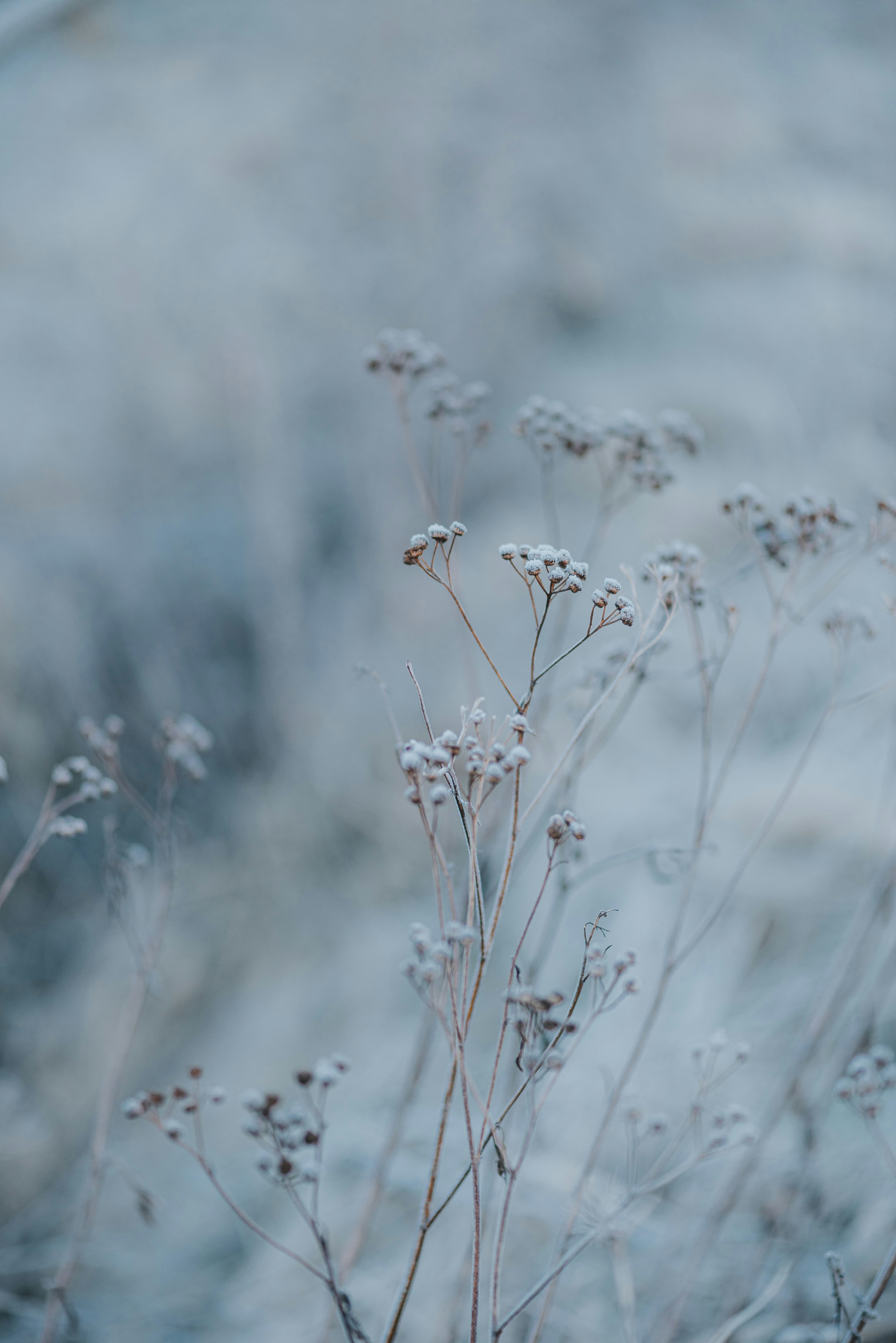 Photo by anitaaustvika