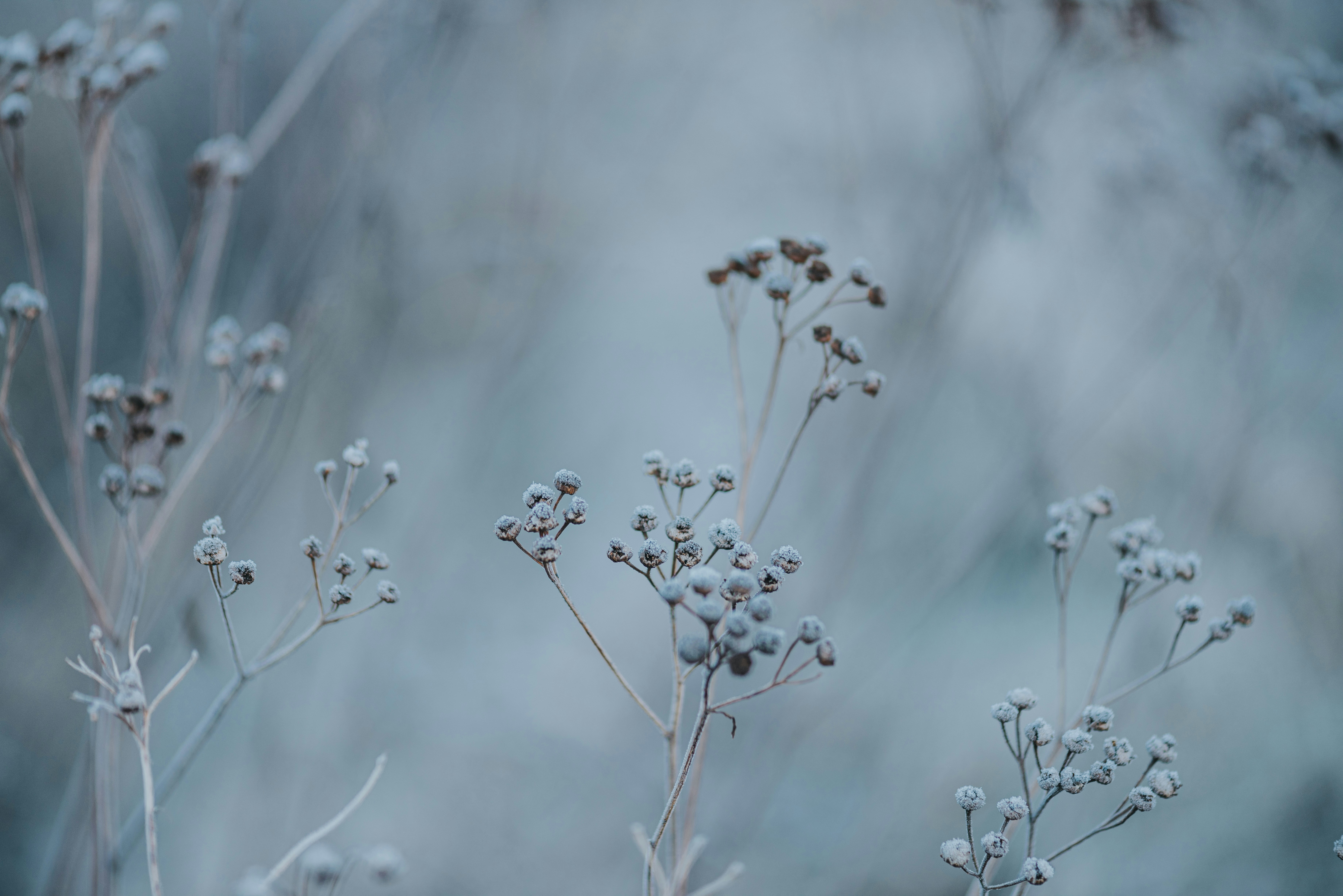 Photo by anitaaustvika