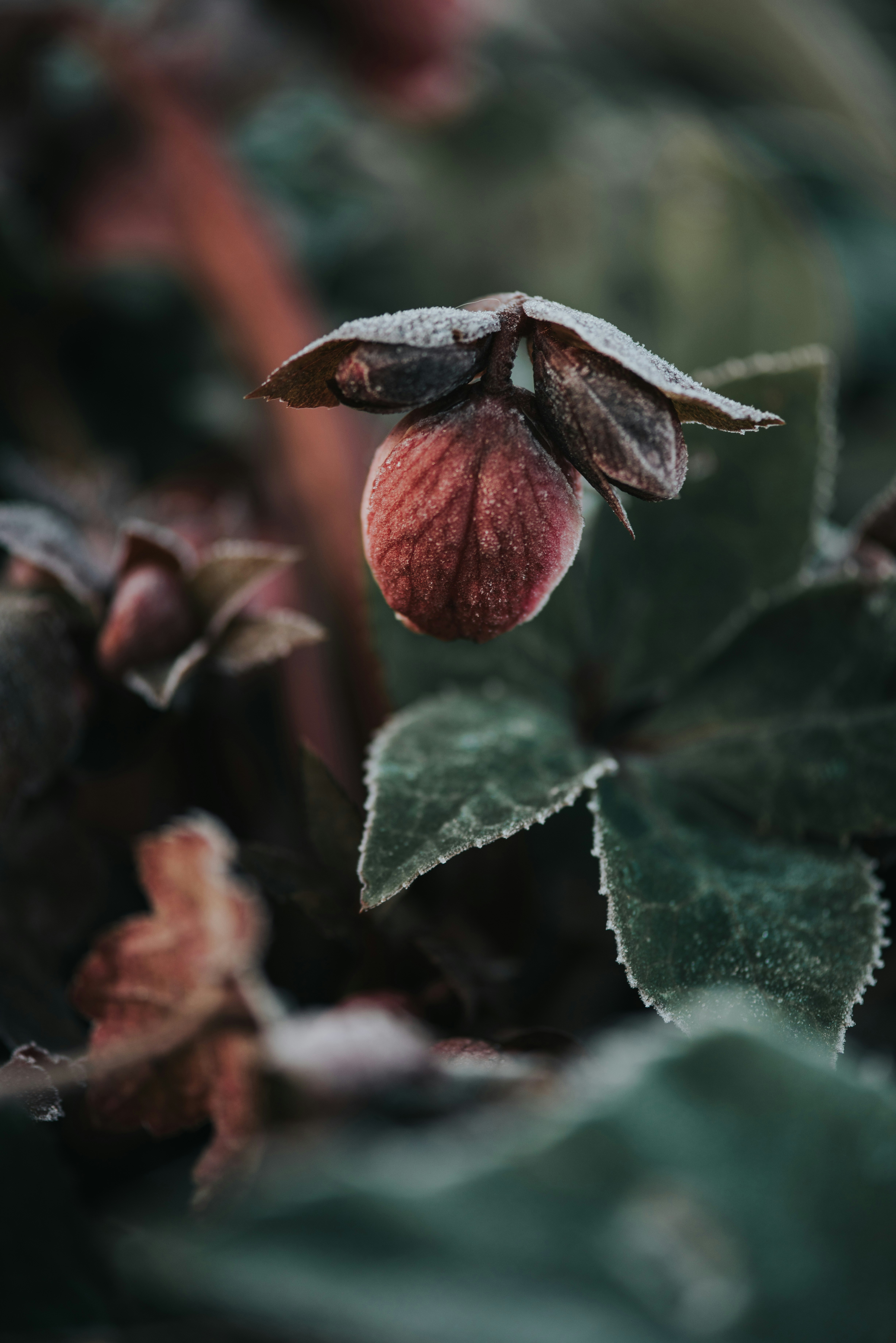 Photo by anitaaustvika