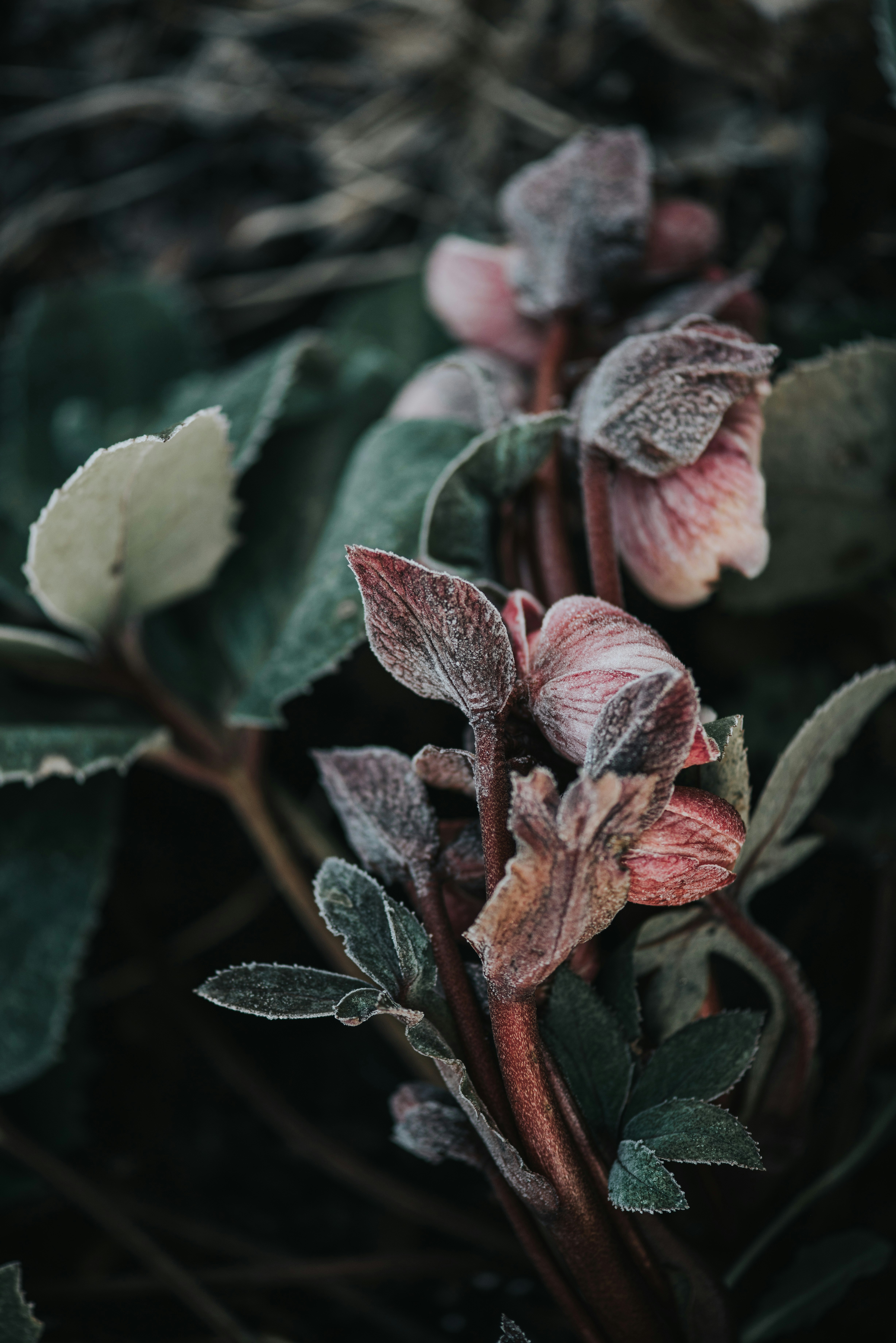 Photo by anitaaustvika