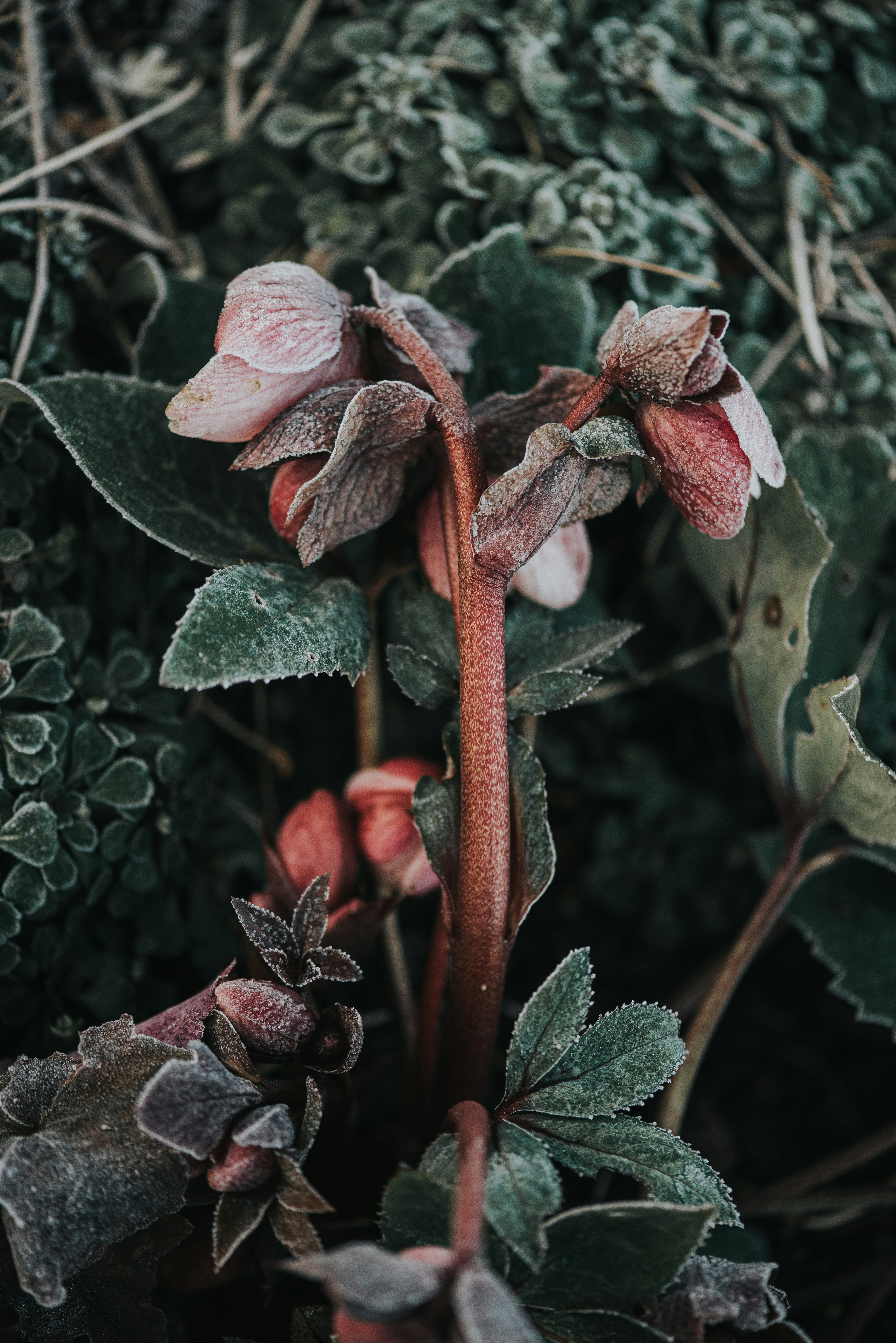 Photo by anitaaustvika