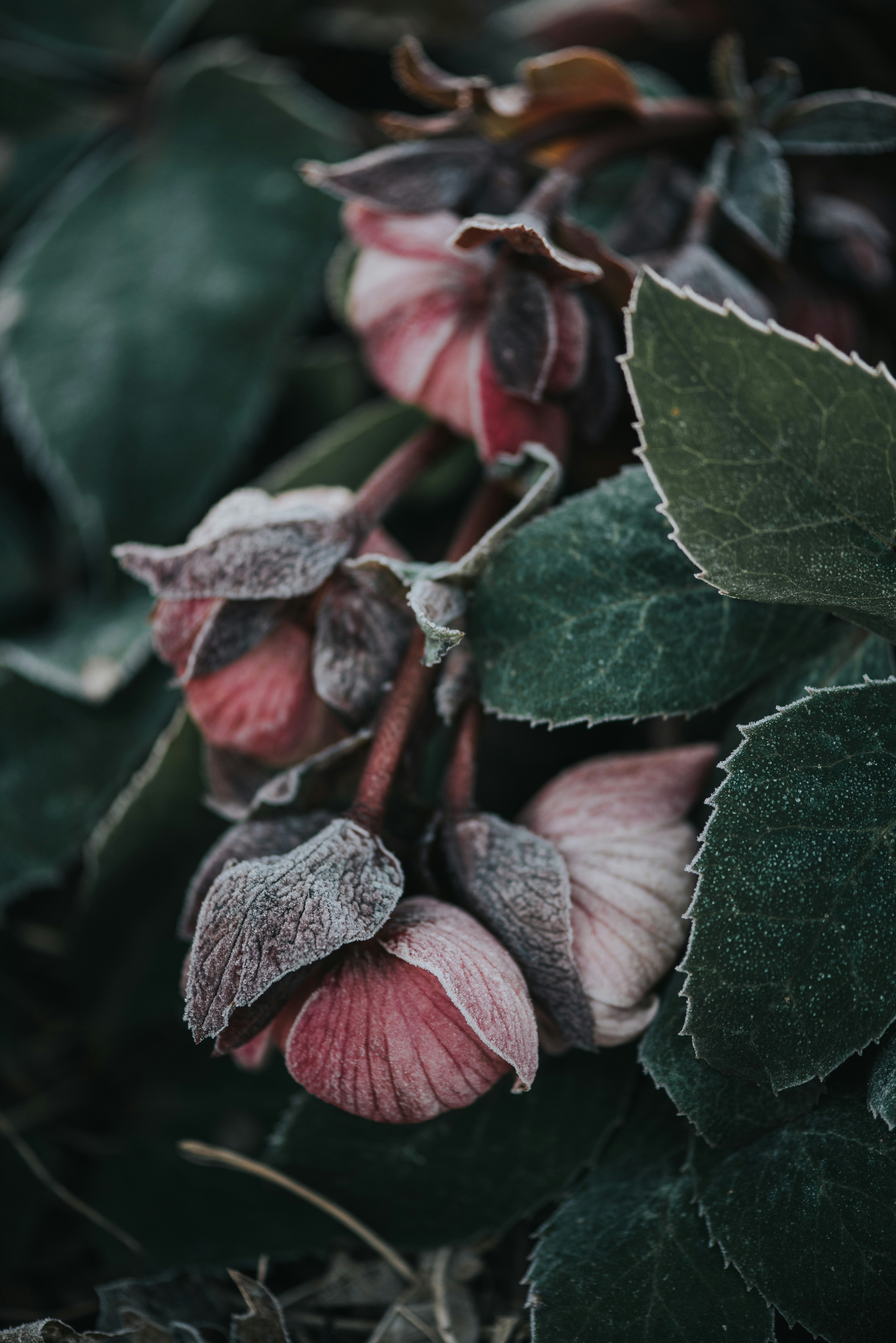 Photo by anitaaustvika