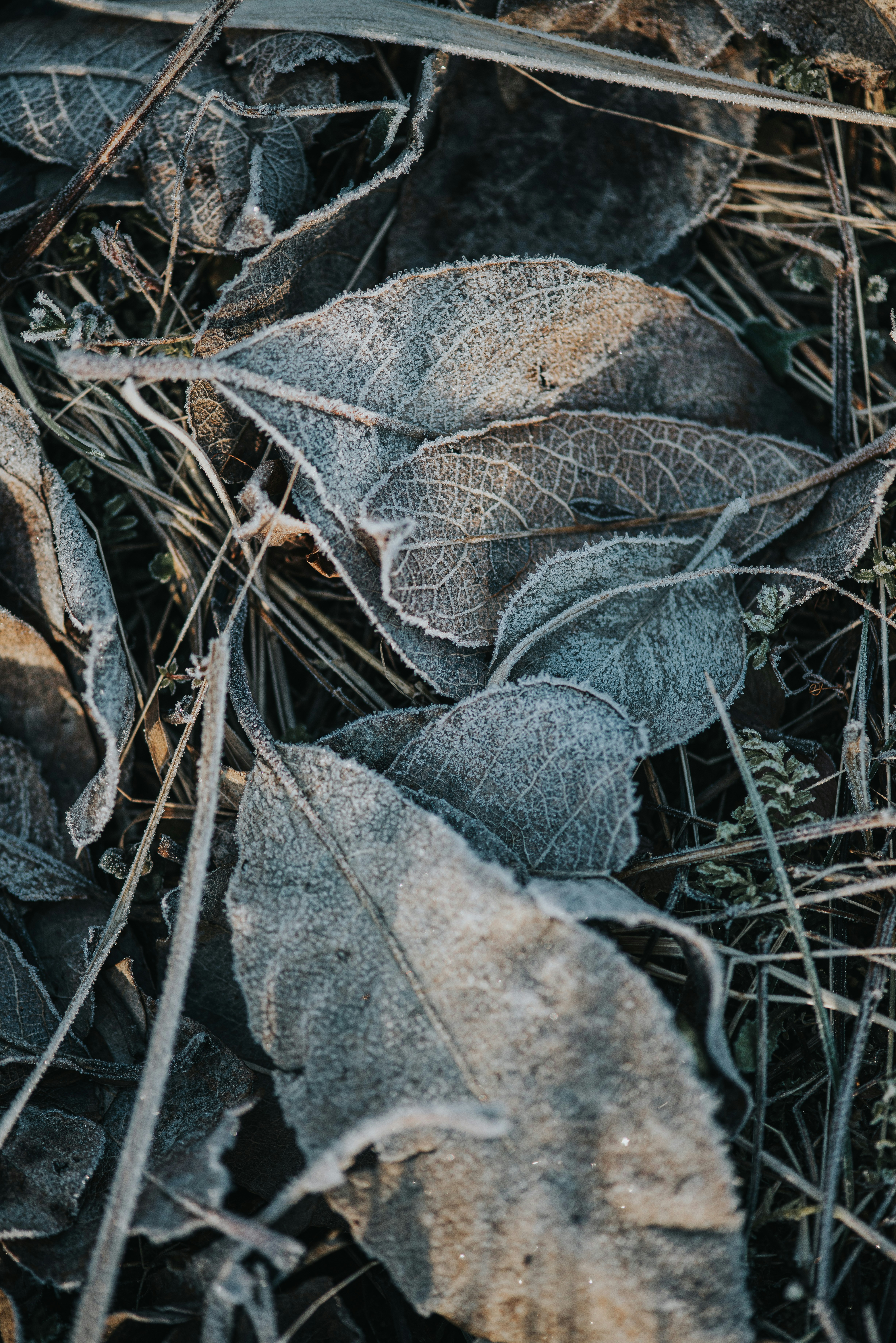 Photo by anitaaustvika