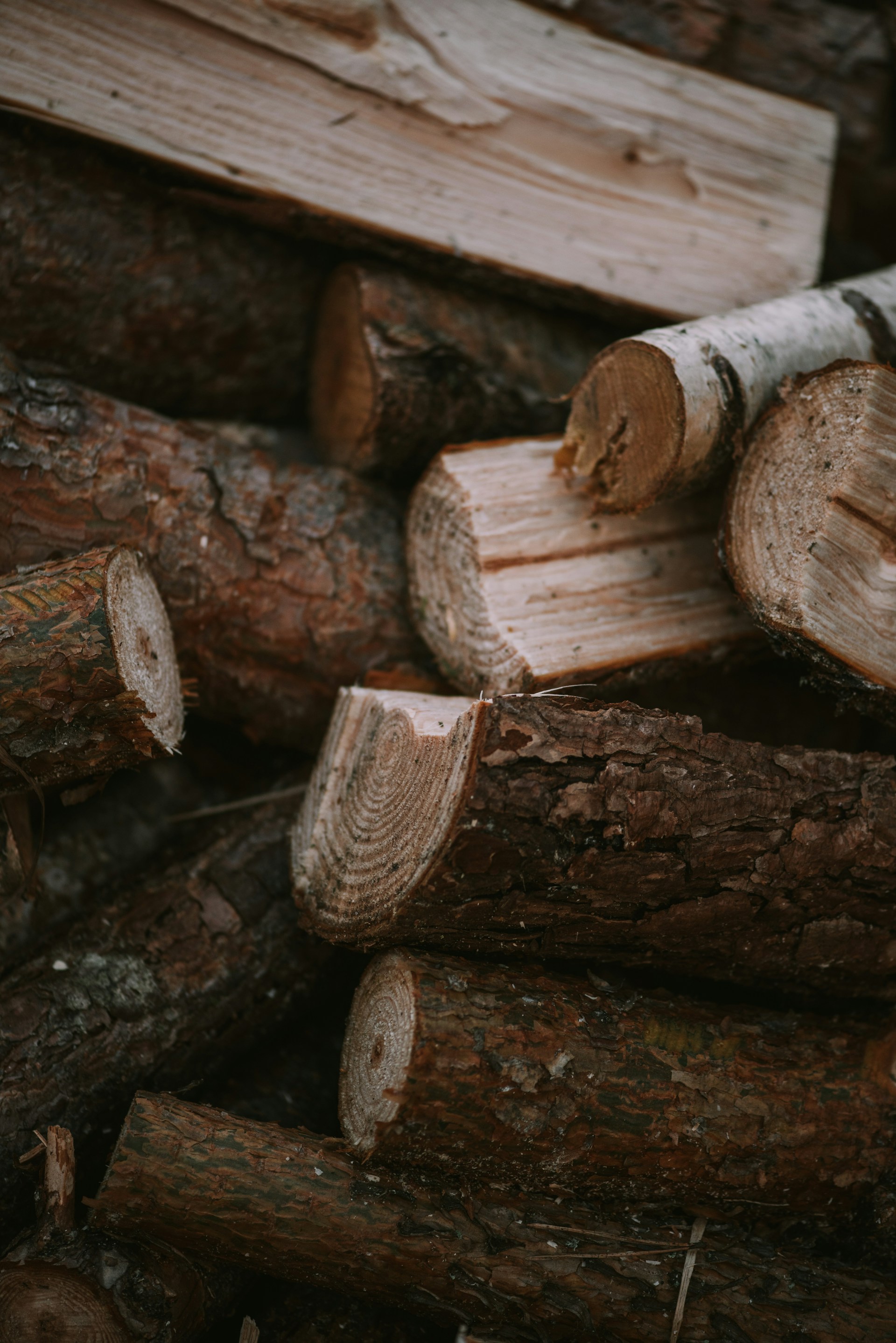 a pile of logs sitting next to each other