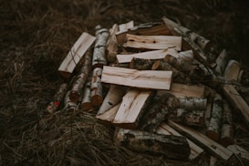 A pile of chopped firewood consisting of logs and split pieces, strewn on the ground surrounded by brown grass. The wood appears freshly cut, with bark still attached to some logs.