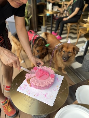 A person is cutting a pink birthday cake with white and pink decorations, including the words 'Happy Birthday' on top. Two dogs wearing party hats and bandanas are seen nearby, showing interest in the cake. The setting appears to be a casual indoor or outdoor cafe with tables and chairs in the background.