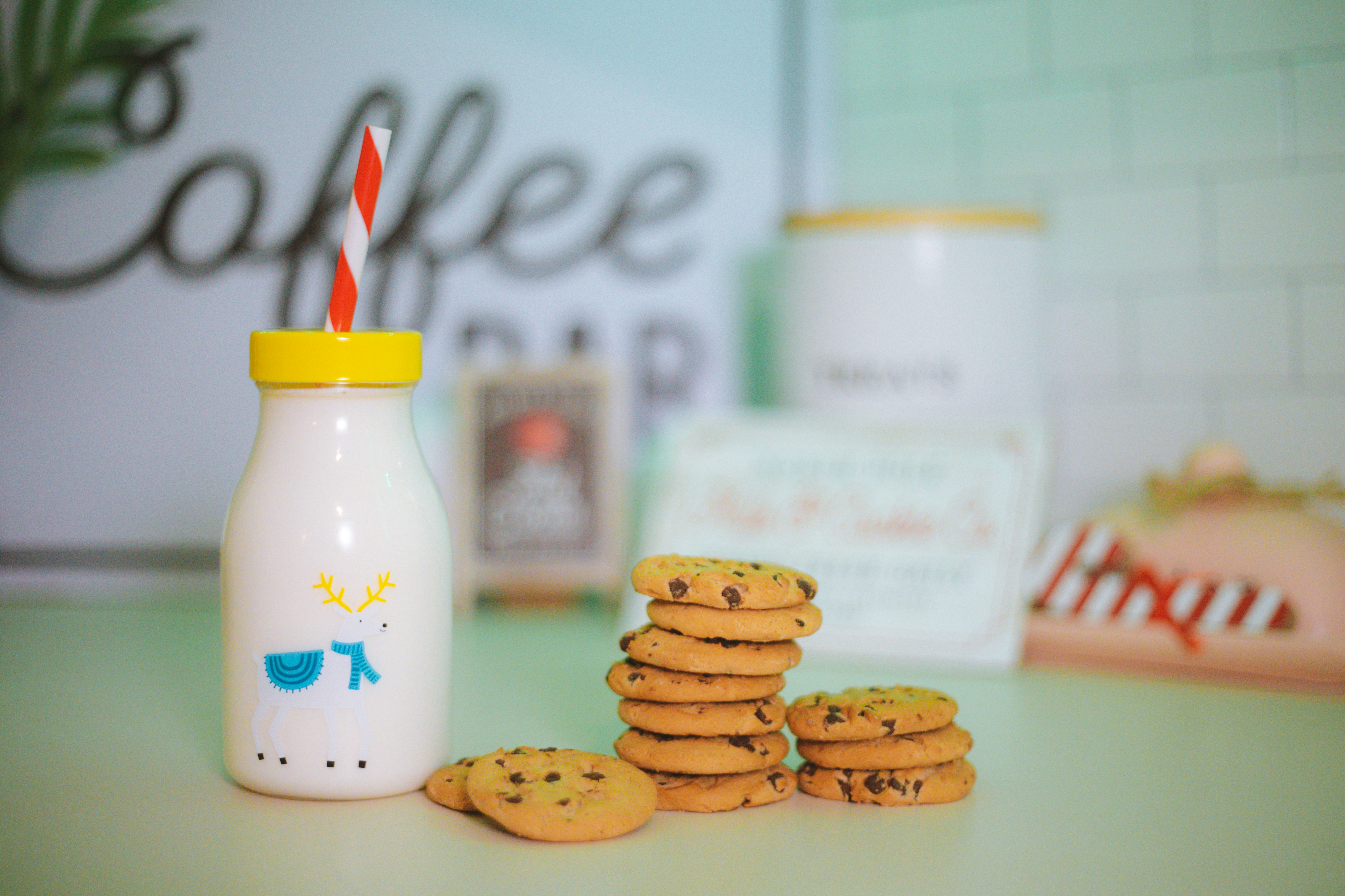 Cookies and milk for Santa