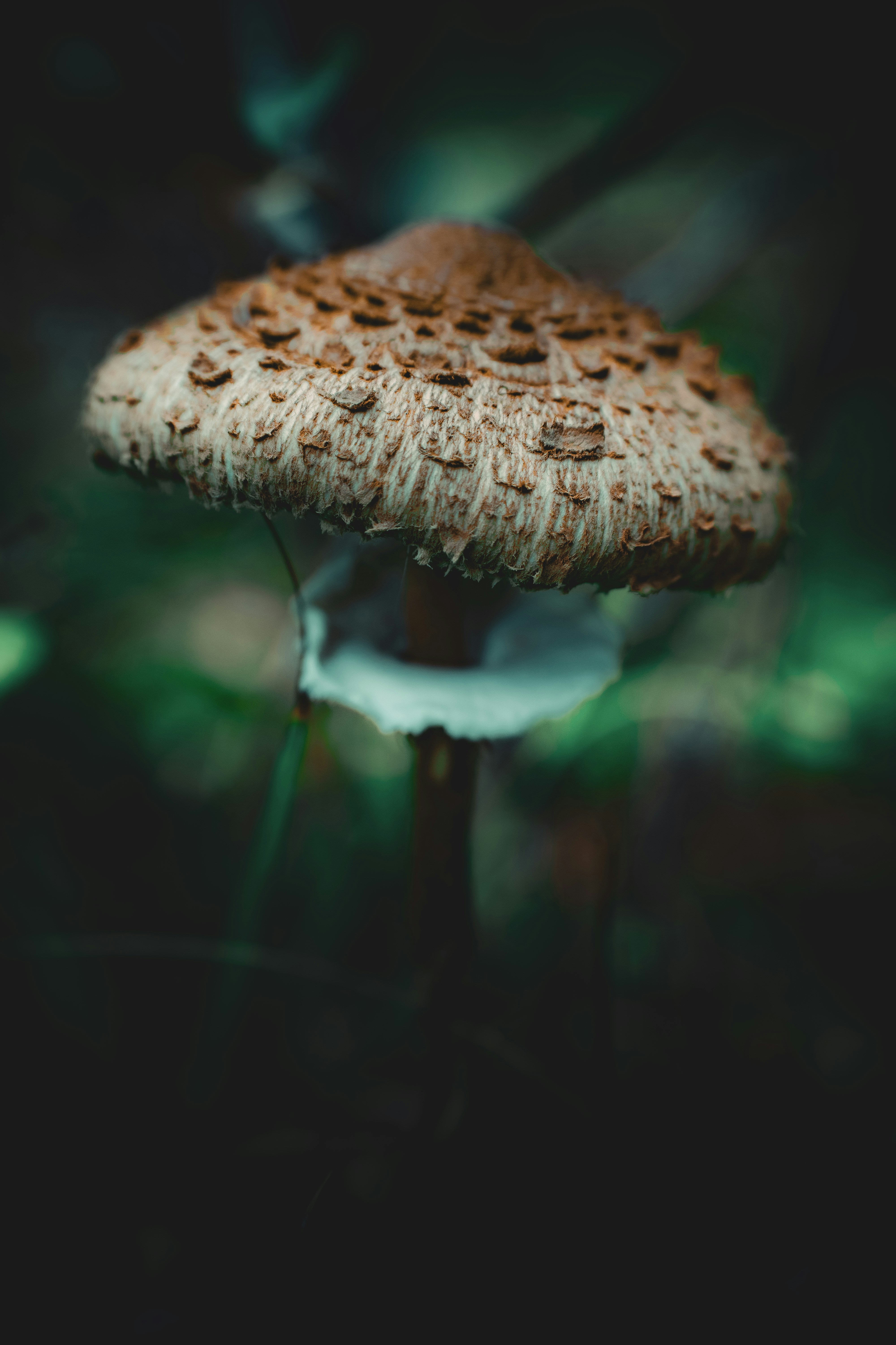 Photo by watchelijah