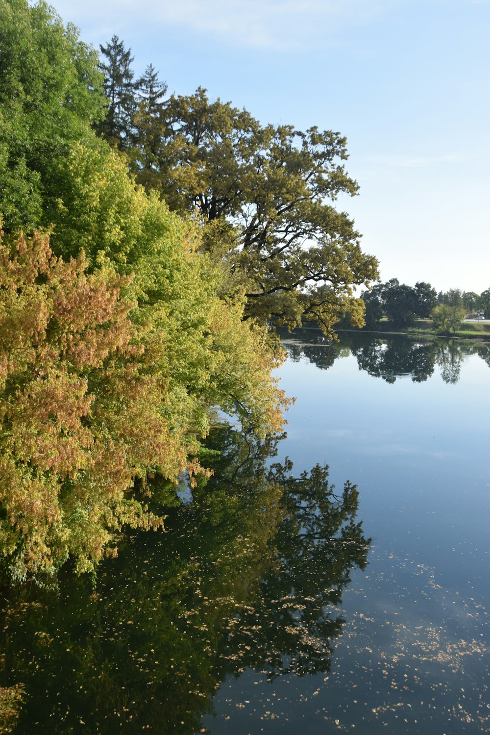 a body of water surrounded by trees and grass