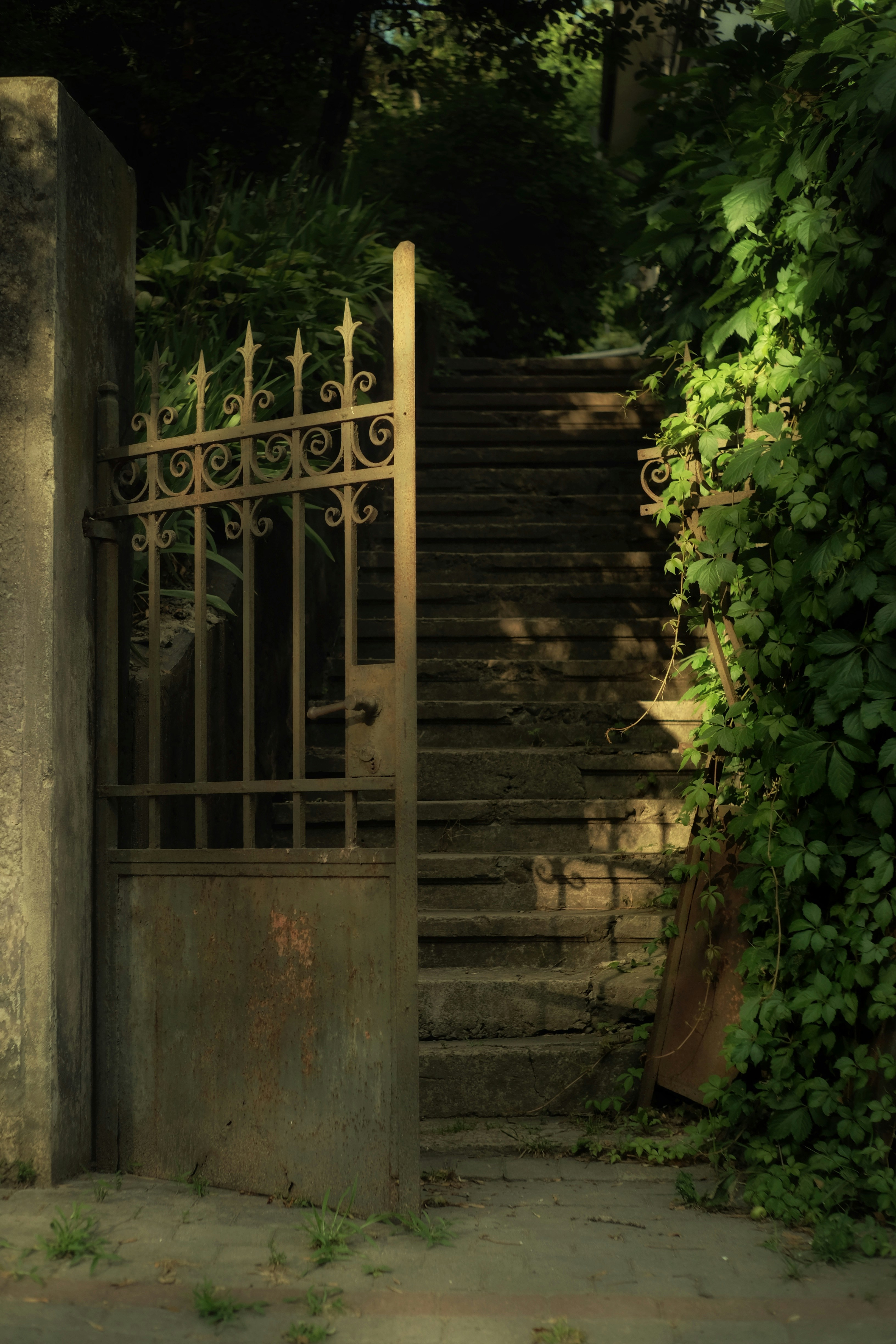 Photo by bogdan_vaskan