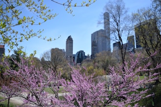 Volunteers planting trees together in a vibrant urban park, symbolizing community renewal.