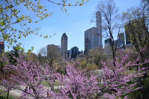 Volunteers planting trees together in a vibrant urban park