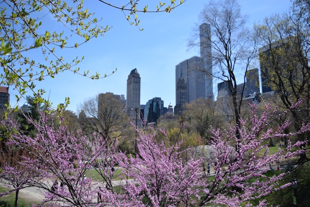 A vibrant team planting new trees in a city park under a bright blue sky.