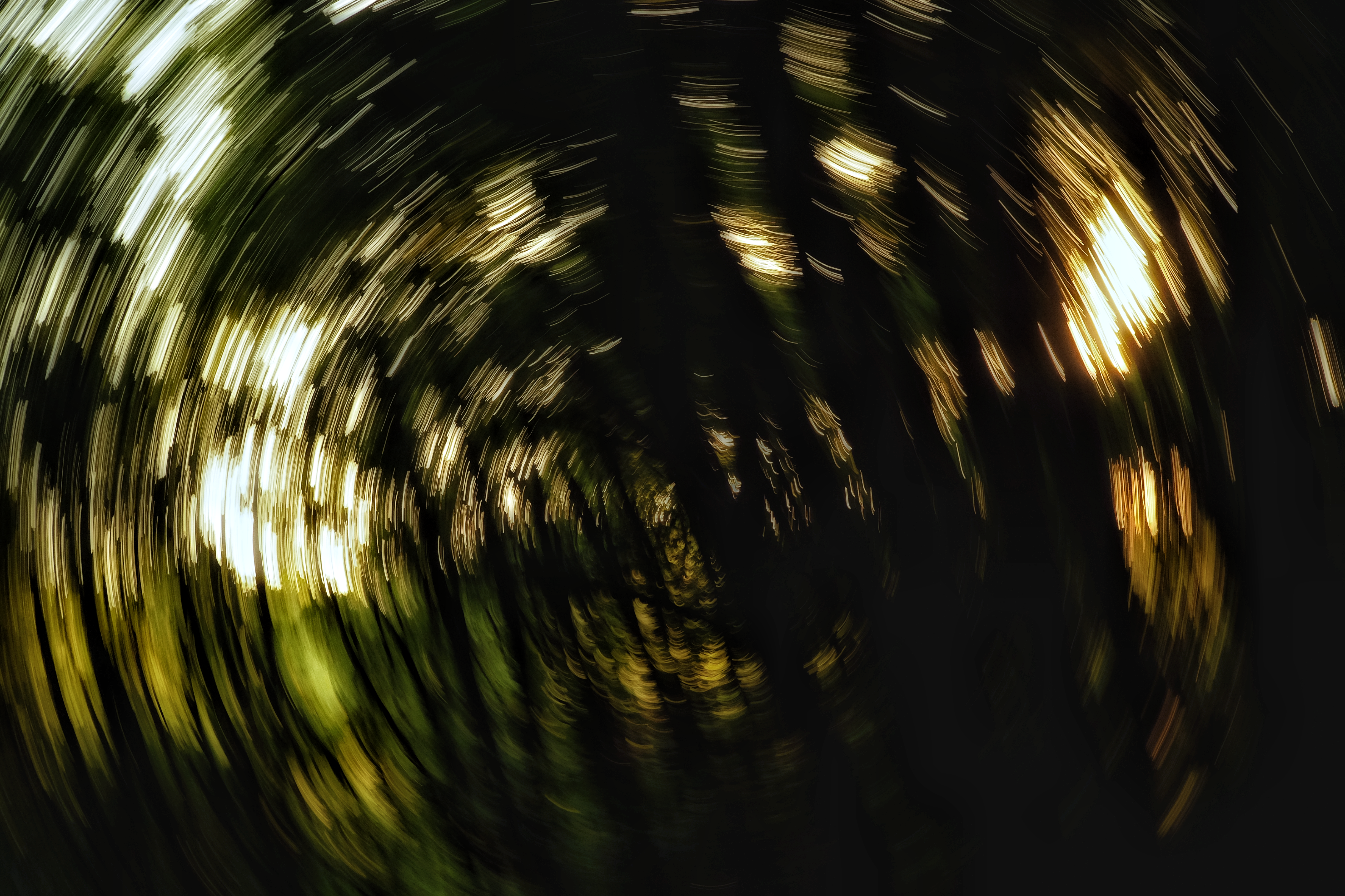 Photo by bogdan_vaskan