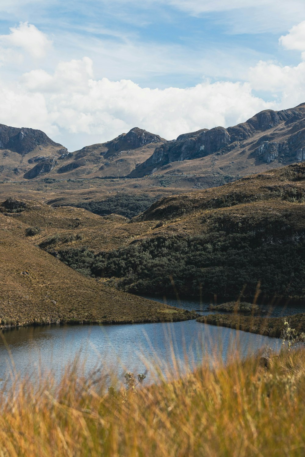 Une chaîne de montagnes avec un lac au premier plan