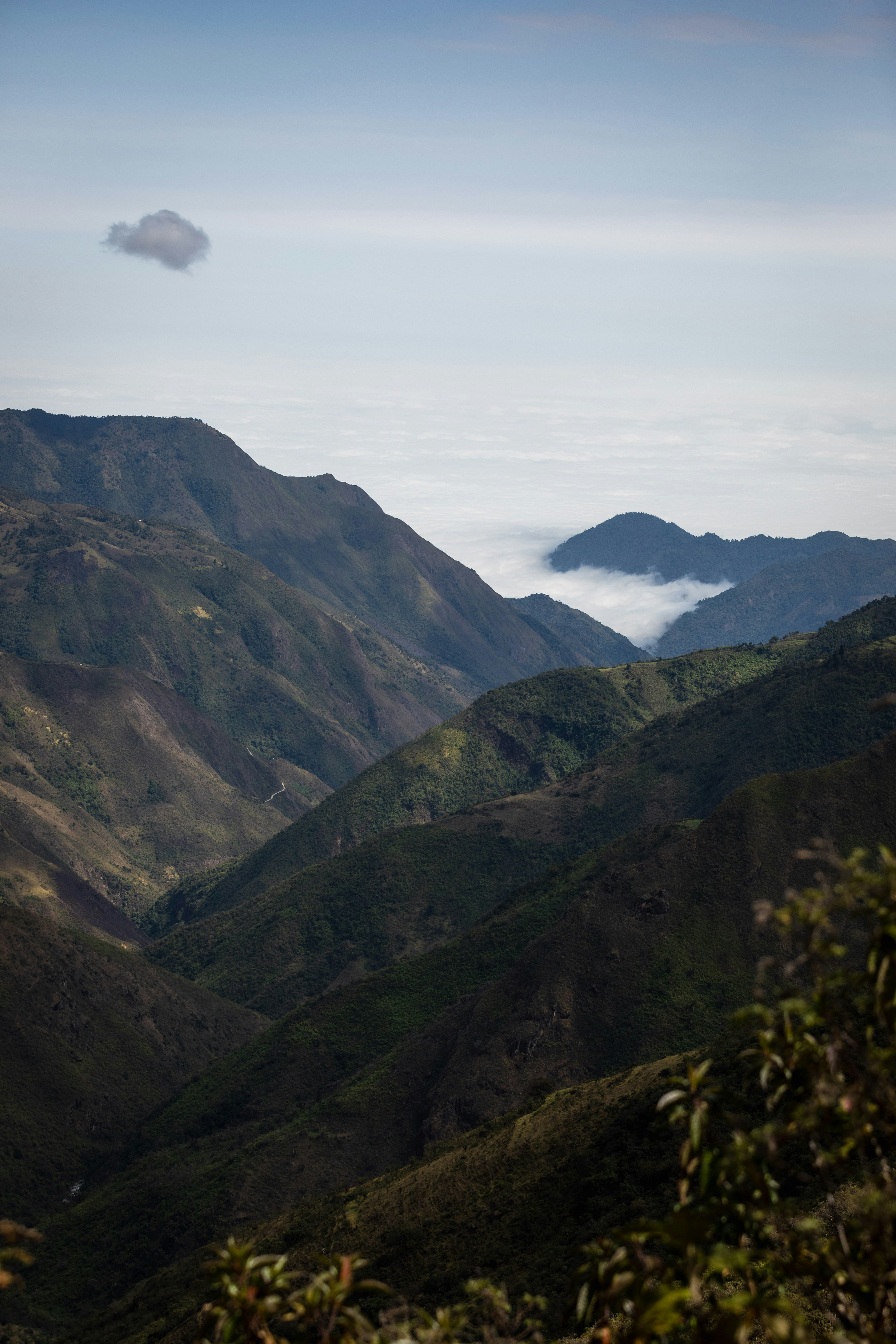 a view of a valley with mountains in the background