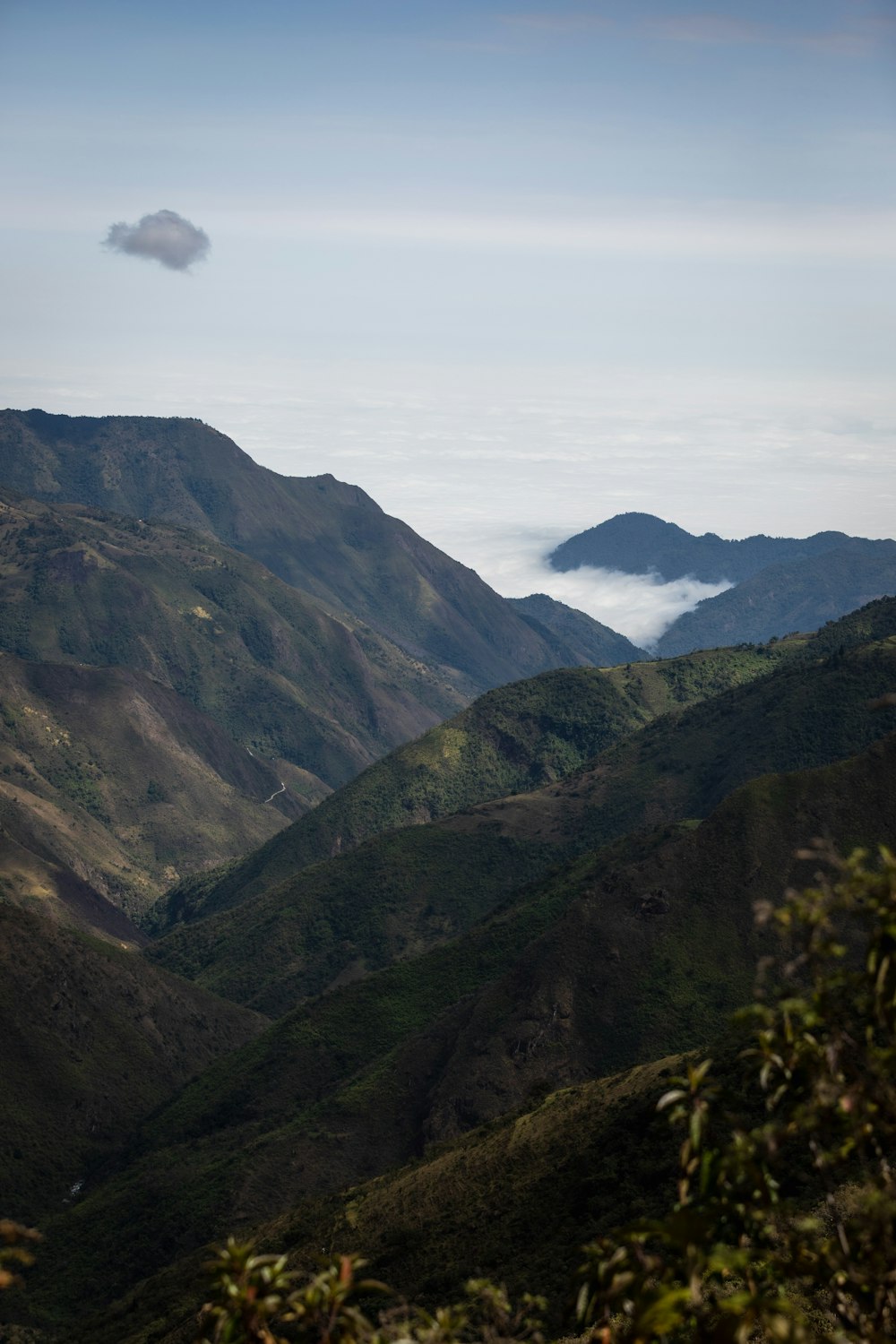 a view of a valley with mountains in the background