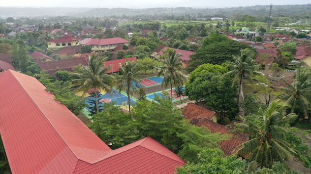 Aerial view of a residential area with abundant greenery, featuring red-roofed buildings and several towering palm trees. A colorful sports court is visible among the trees. The background consists of distant fields and scattered houses extending to the horizon.