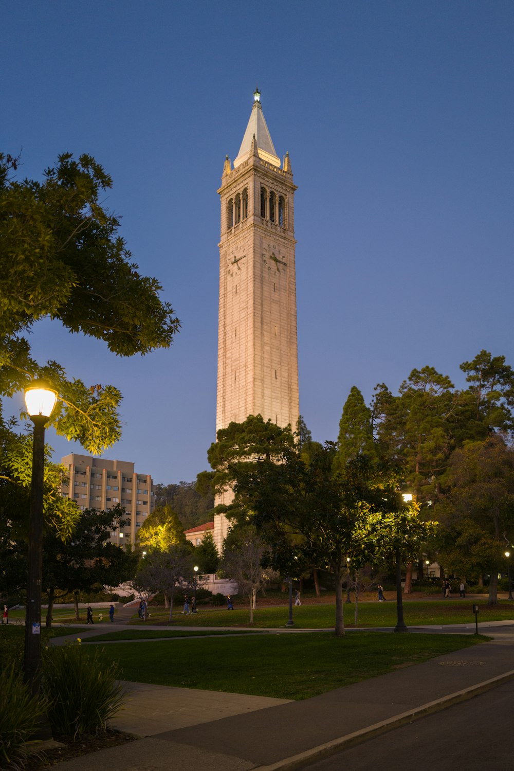 a tall clock tower towering over a lush green park