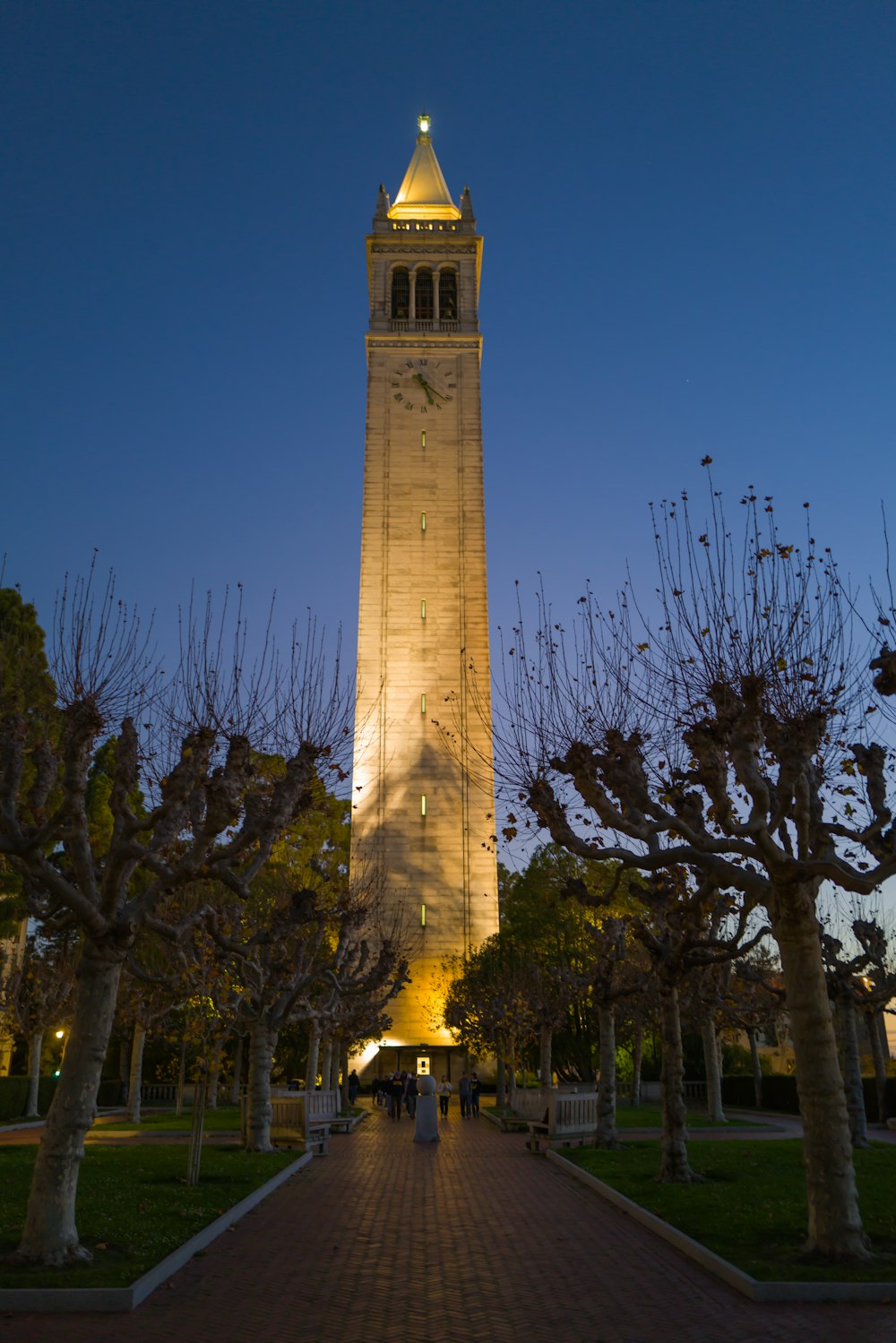 Un'alta torre dell'orologio che domina un parco pieno di alberi
