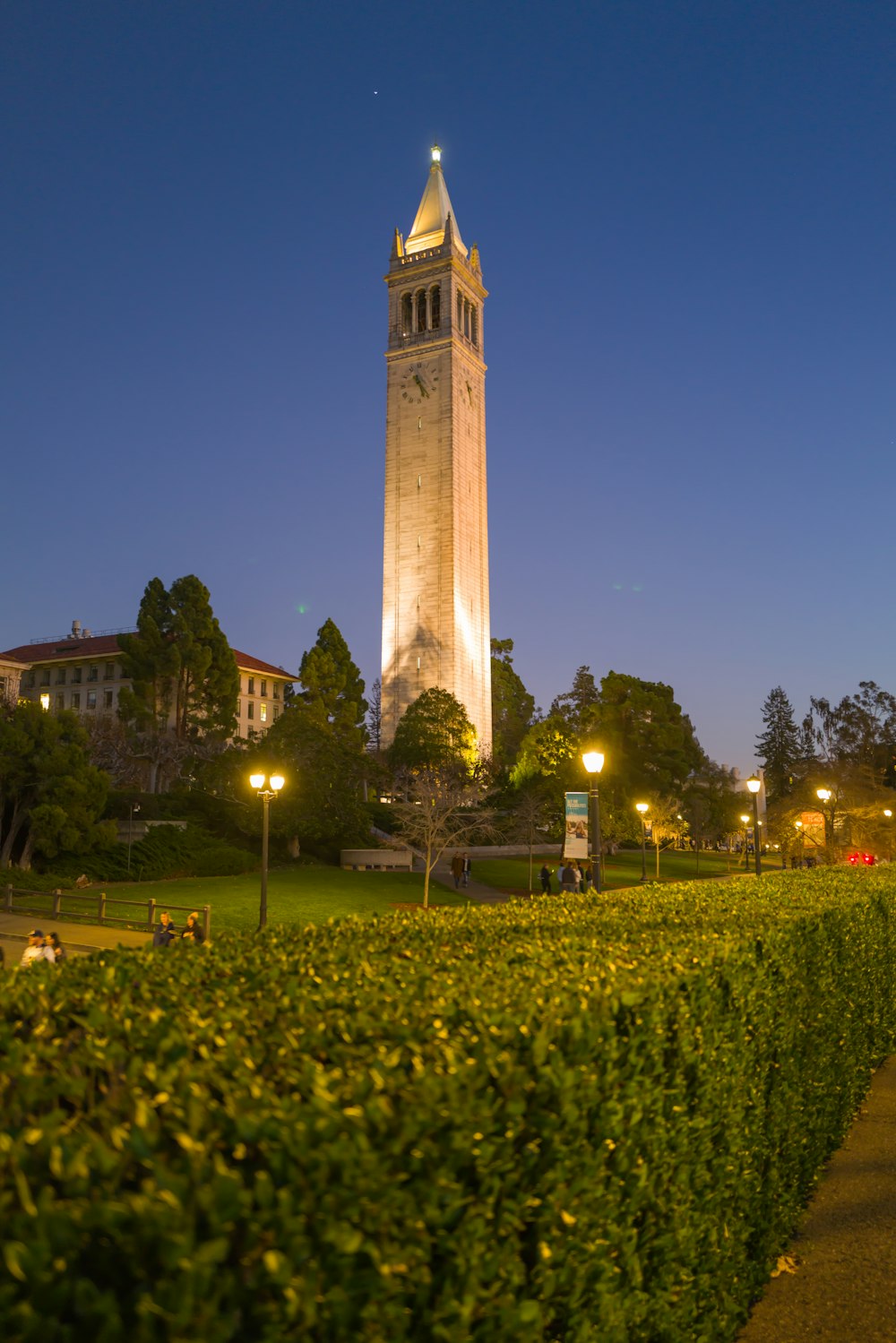 a tall clock tower towering over a lush green park