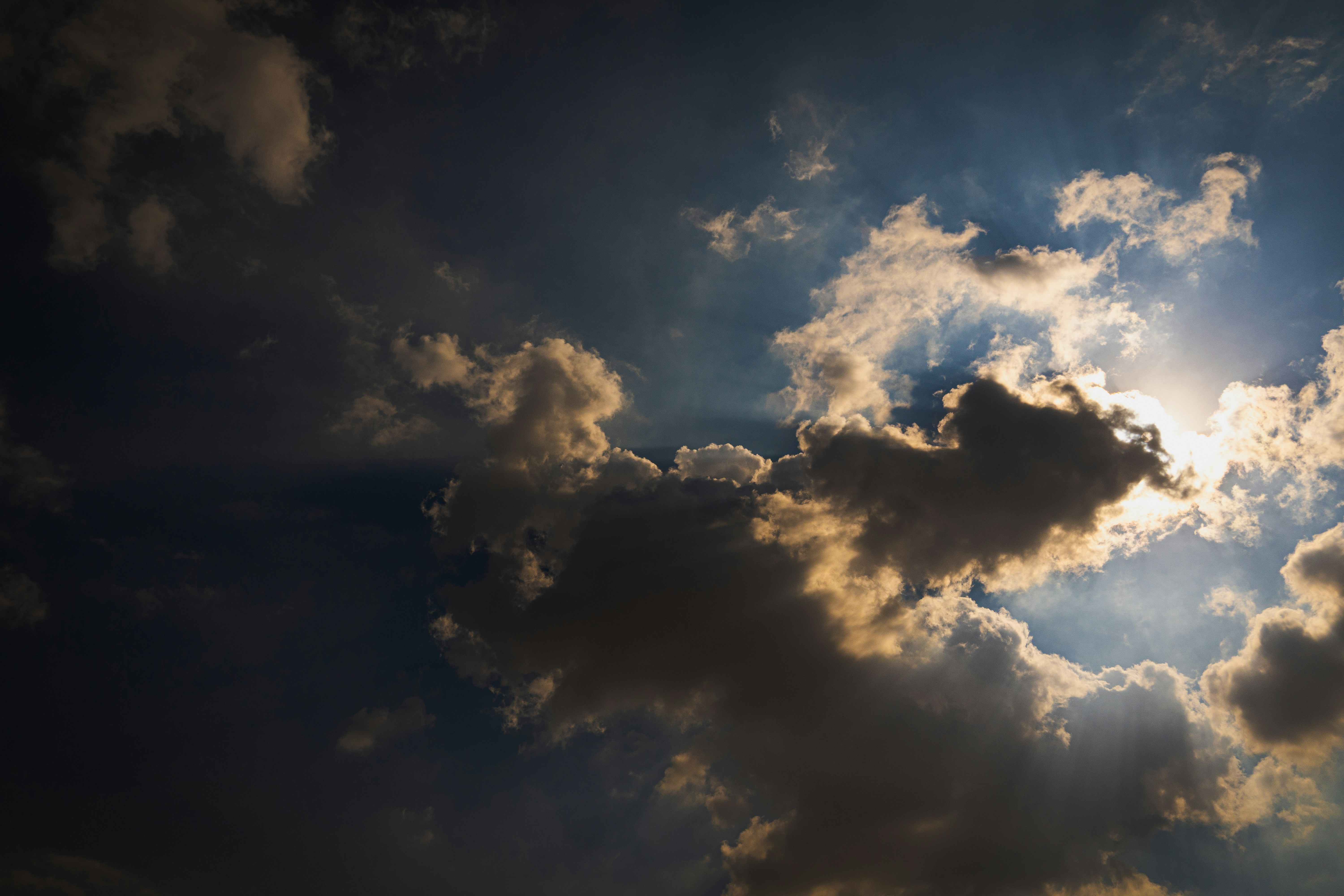 Photo by mahmood_daoud_art