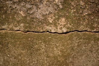 A close-up of a cracked, weathered concrete surface with visible moss and lichen growth. The crack runs horizontally across the middle of the image, dividing the surface into two distinct sections. The texture appears rough and aged, indicative of prolonged exposure to the elements.