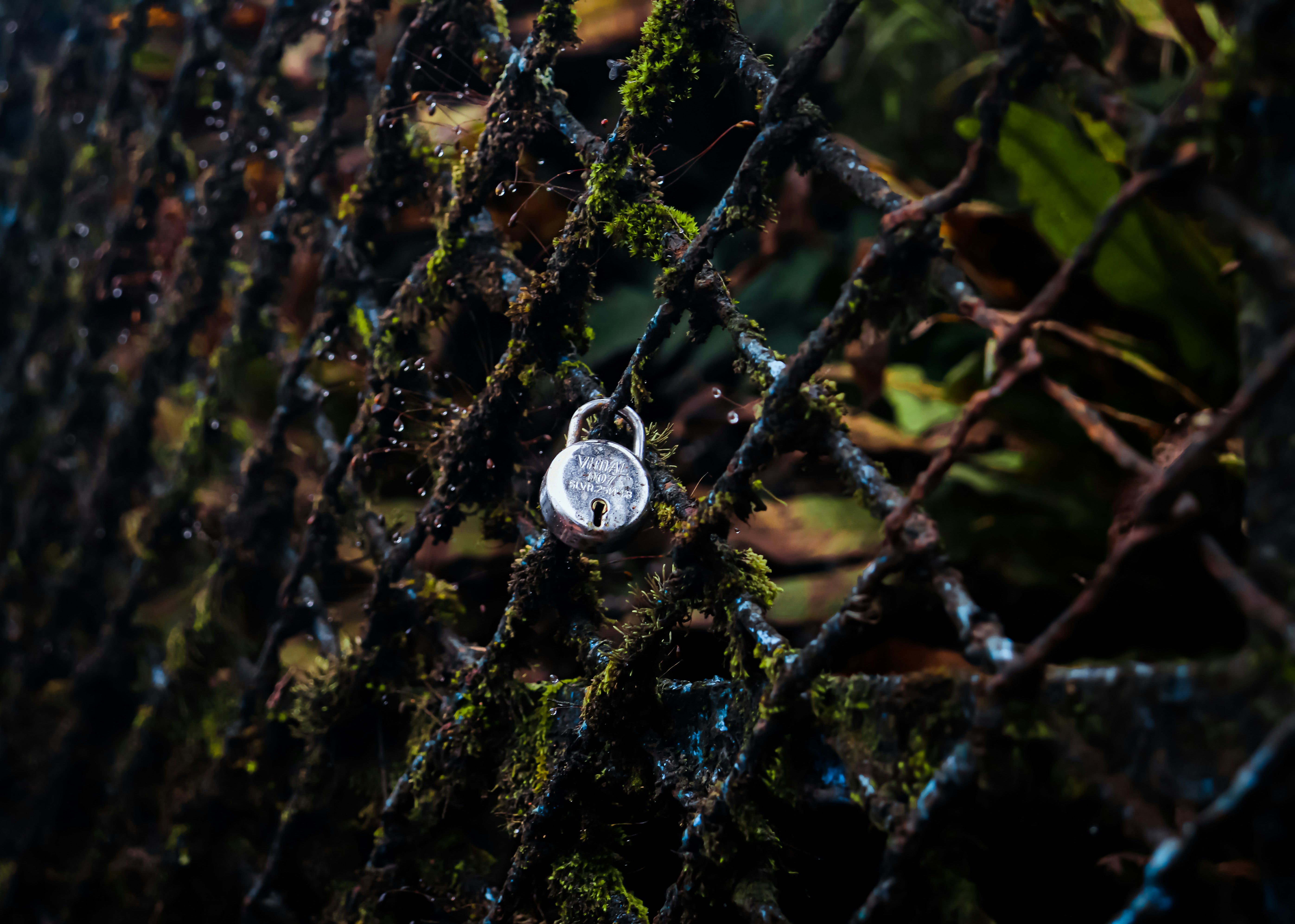 金網フェンスのクローズアップ