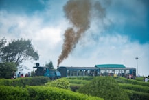 a train traveling through a lush green countryside