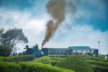 a train traveling through a lush green countryside