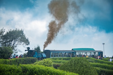 a train traveling through a lush green countryside