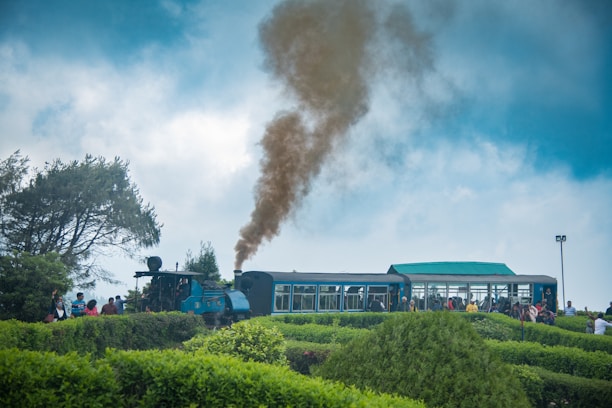a train traveling through a lush green countryside