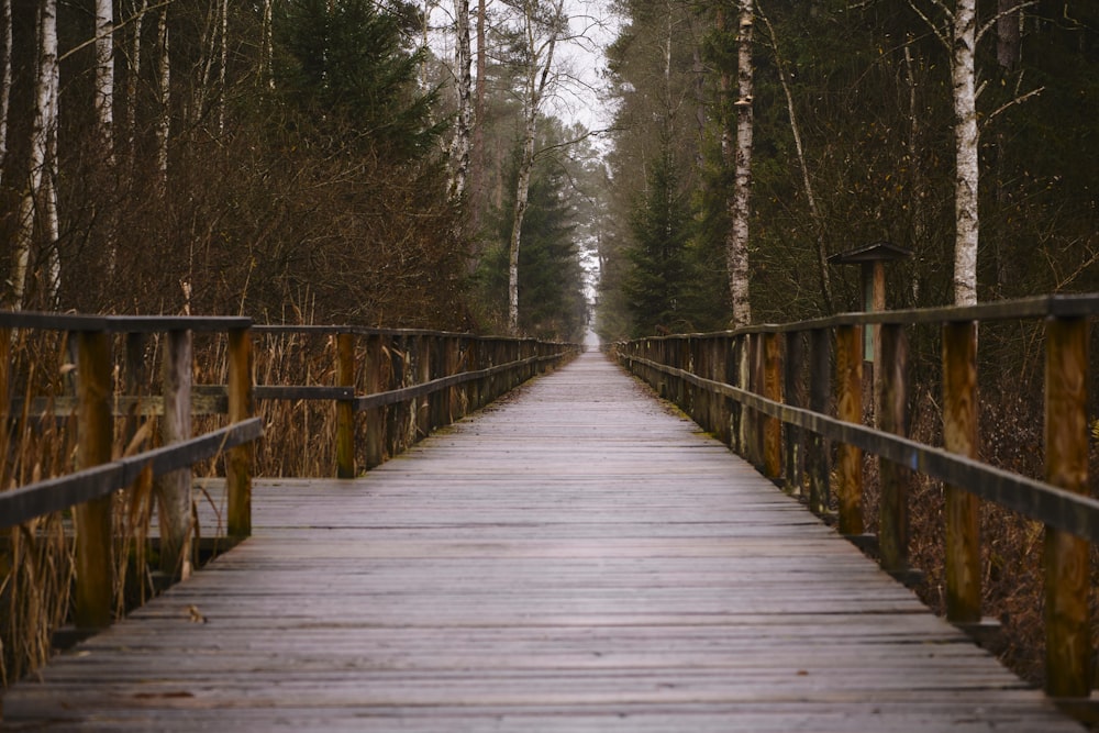 a wooden bridge in the middle of a forest