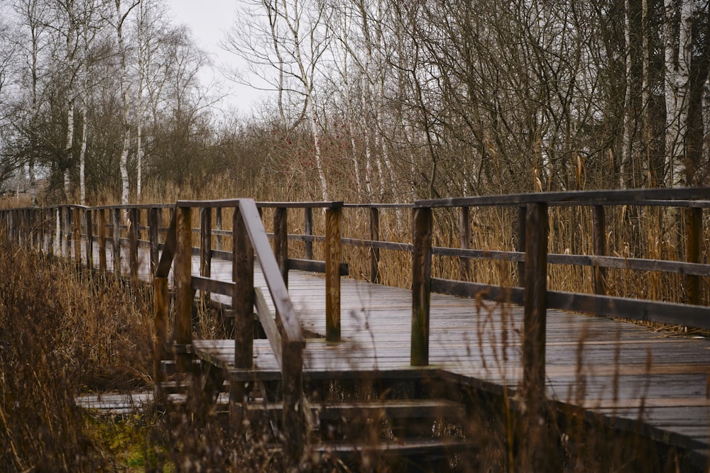 a wooden bridge in the middle of a forest