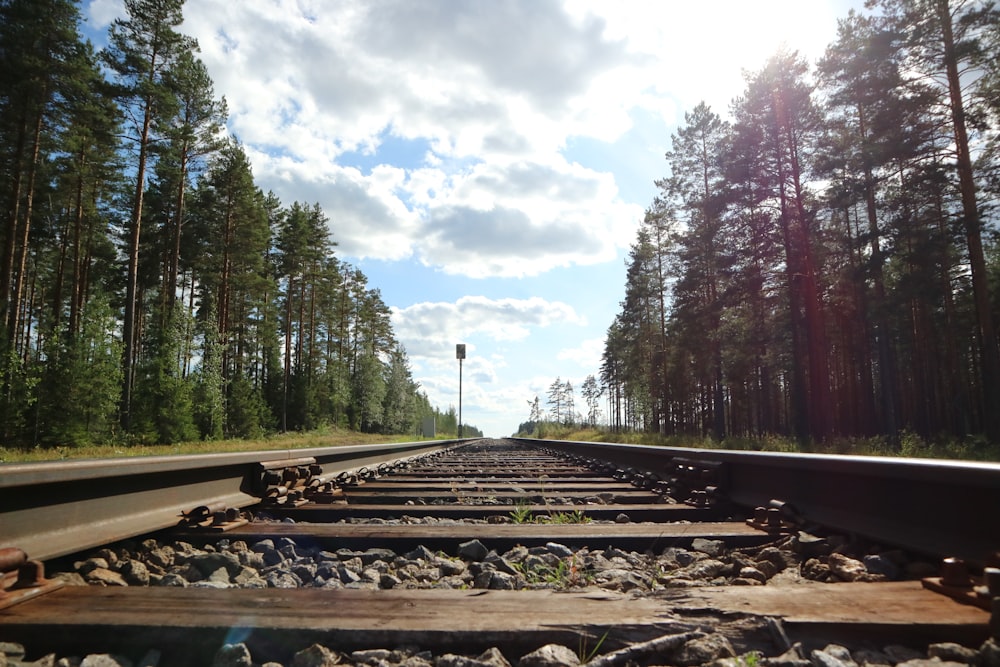 a train track in the middle of a forest