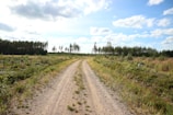 A dirt road leading through an open field ready for development.