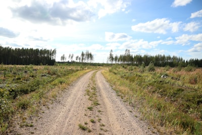A dirt road leading through an open field ready for development.
